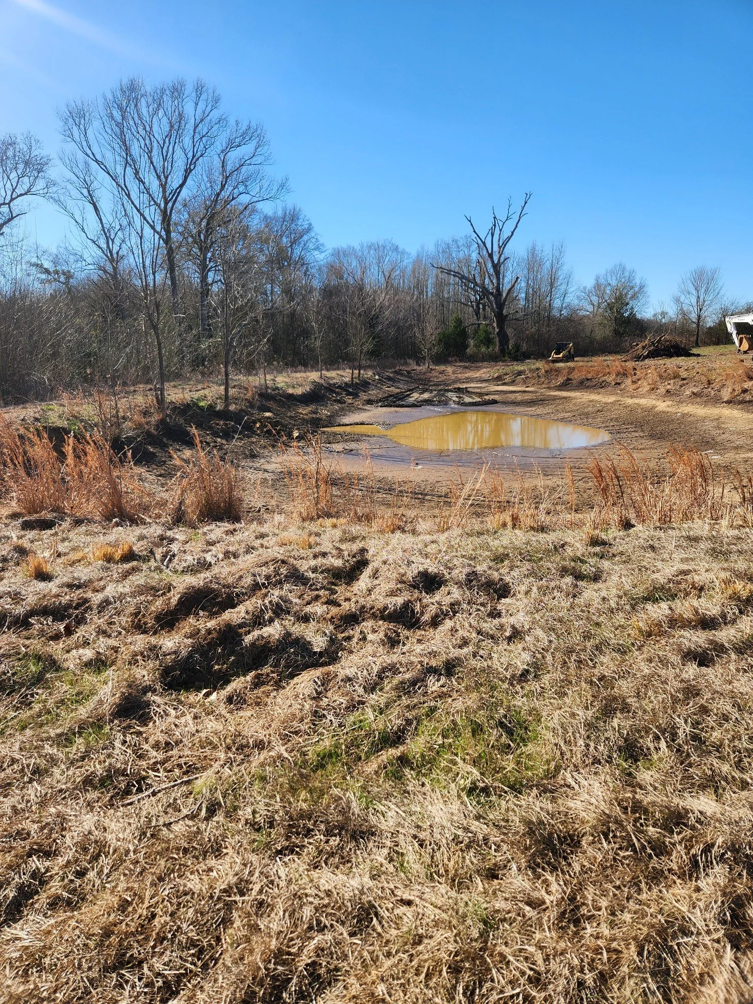 A dry, grassy field with patches of brown grass and leafless trees surrounds a small pond with muddy water on a clear, sunny day.