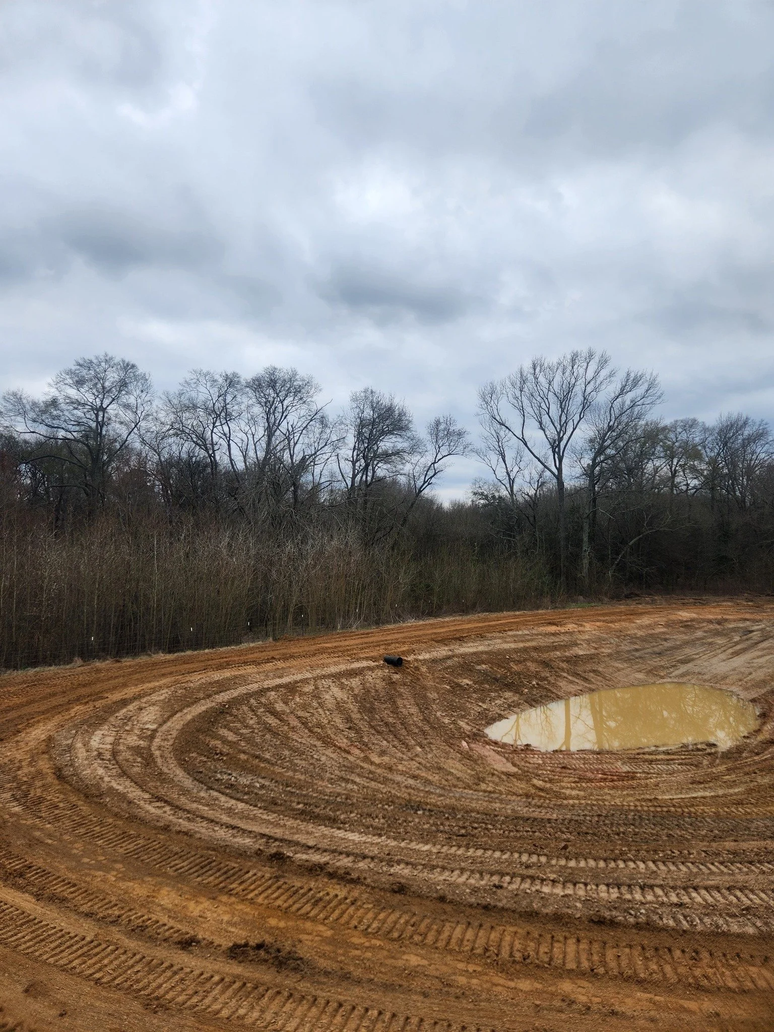 A dirt road with tire tracks and a small puddle, with leafless trees in the background under a cloudy sky.