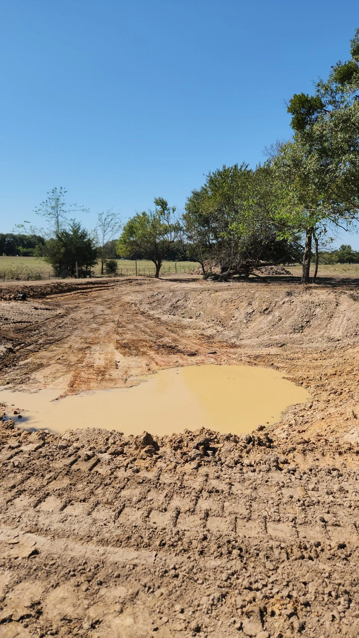 A muddy dirt area with tire tracks and a water puddle, with trees in the background and a clear blue sky.