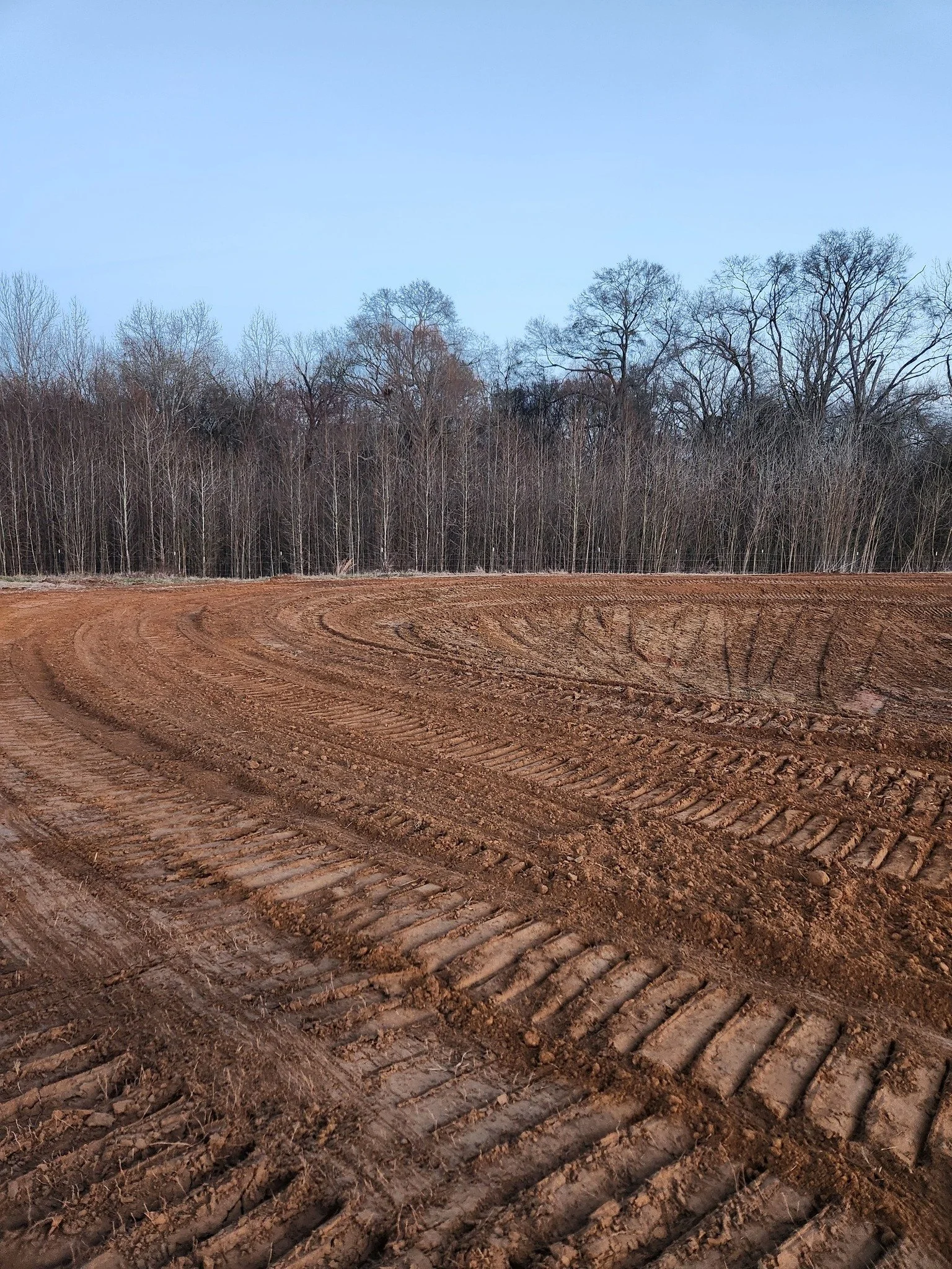 Farmland with freshly tilled soil and tire tracks, bordered by leafless trees under a clear blue sky.