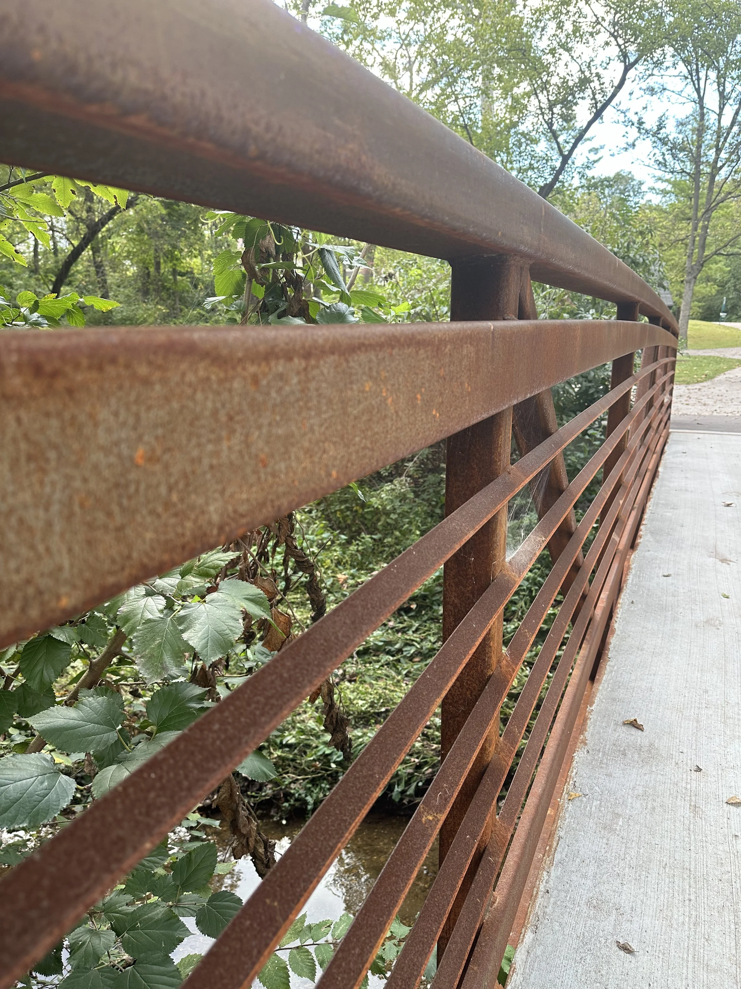 IMG_3423.jpeg