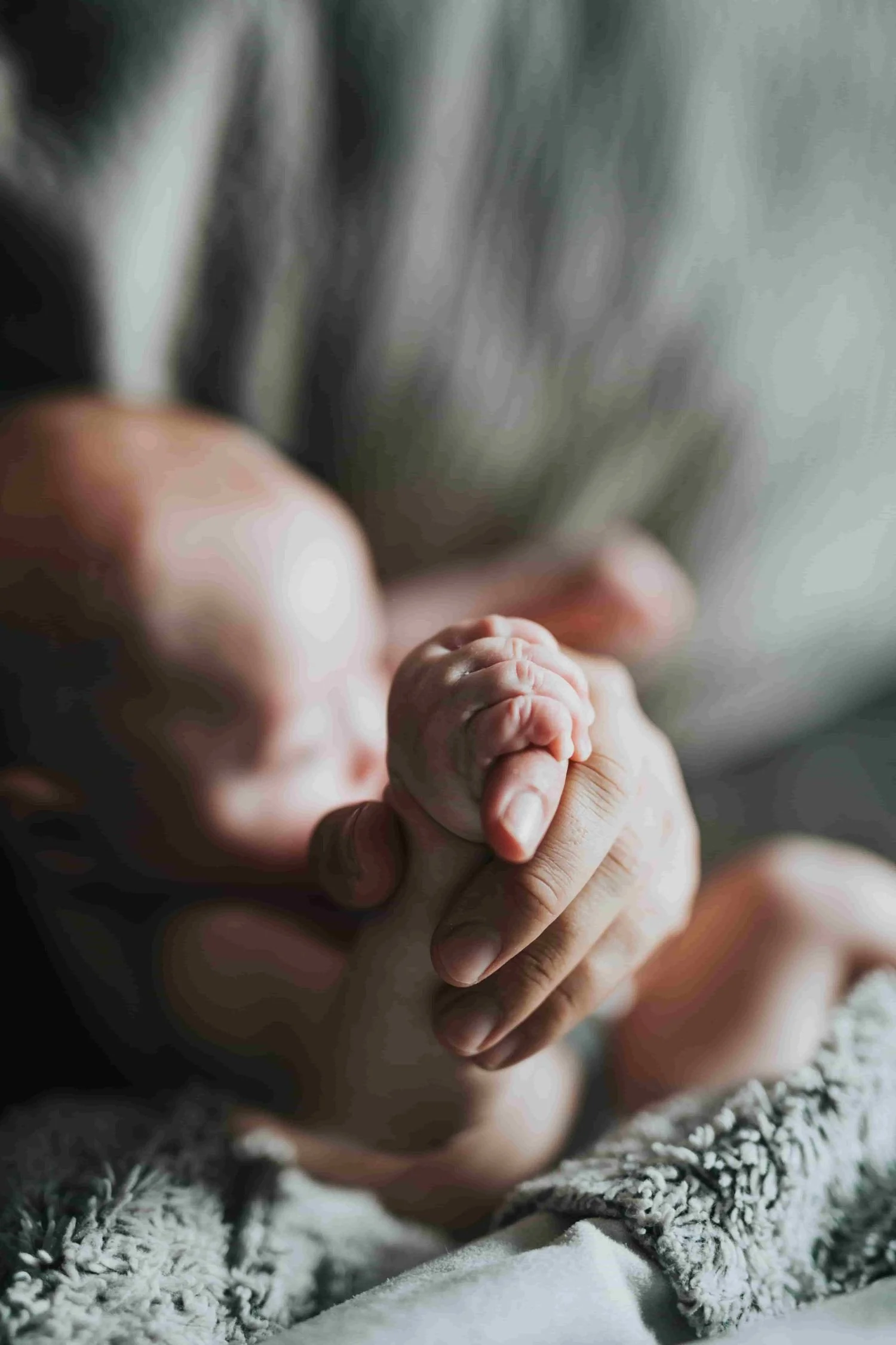 Photo of newborn baby's hand being held by parent