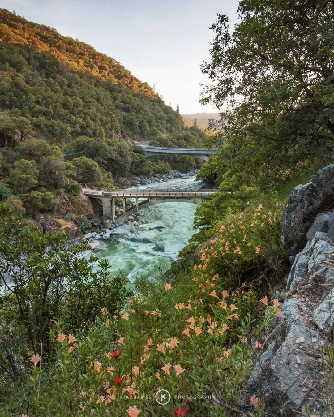 The Ultimate Guide to the South Fork and Grass Valley: A Sierra Foothills Escape