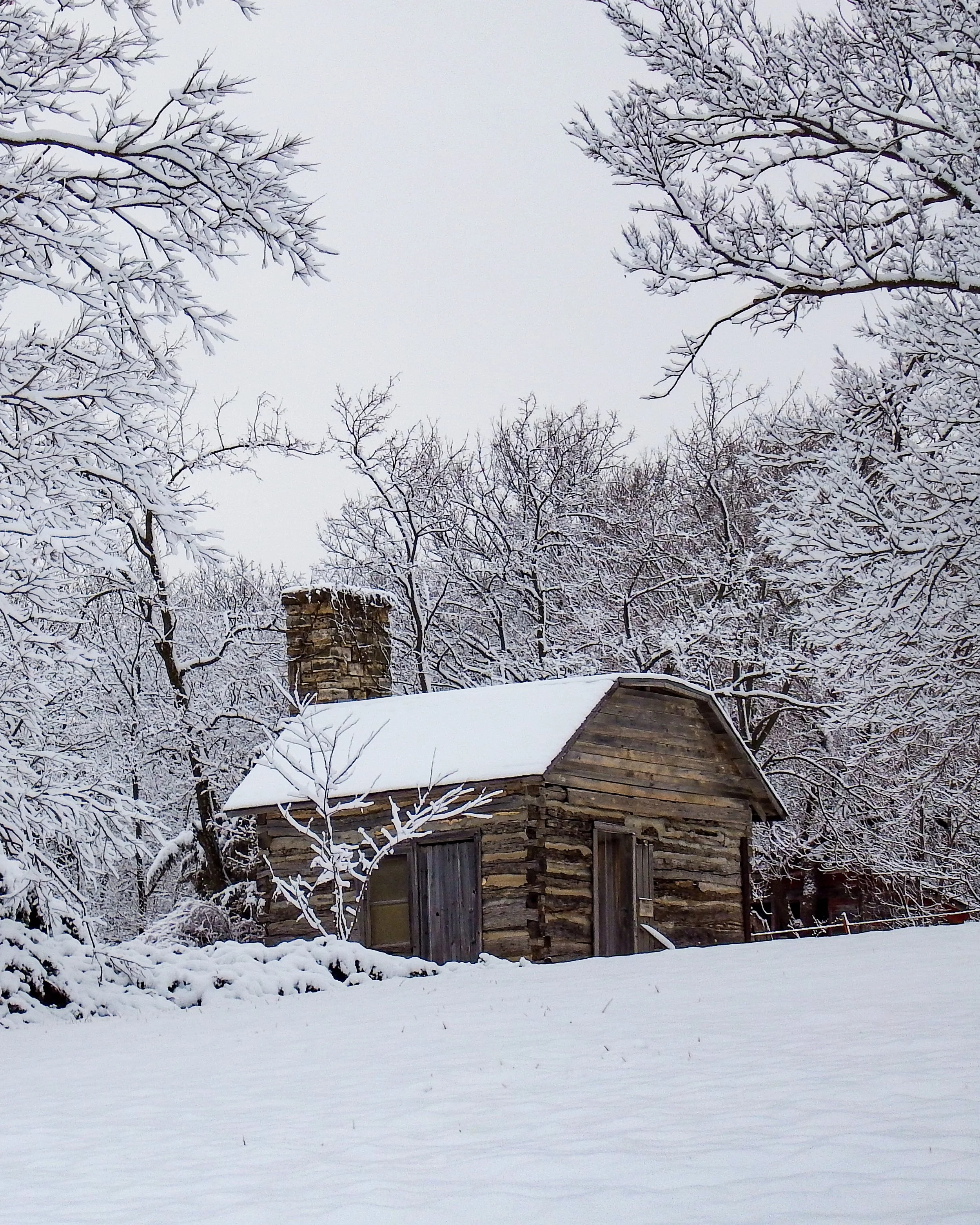 "Buried in Quiet"
Snow falls without urgency, softening the edges of what once stood clear. The cabin remains, but only as a memory held gently by the storm.