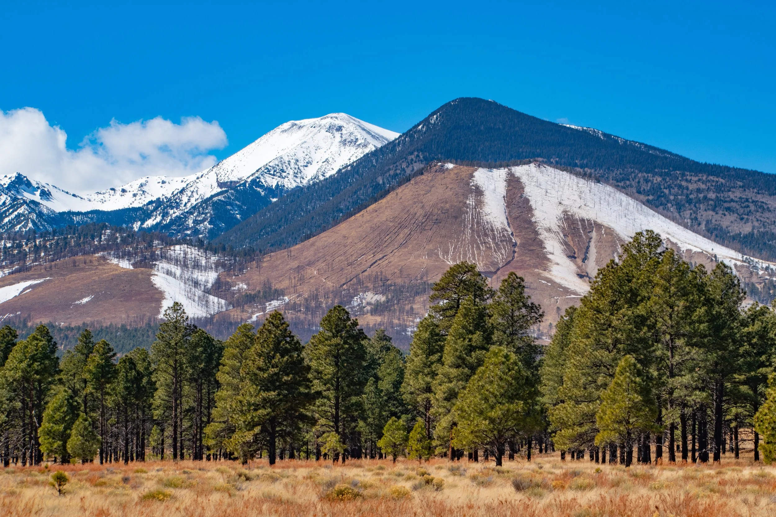"Layered Rise"
Forms build into one another as they climb, each ridge supporting the next. Elevation is not singular—it’s constructed.