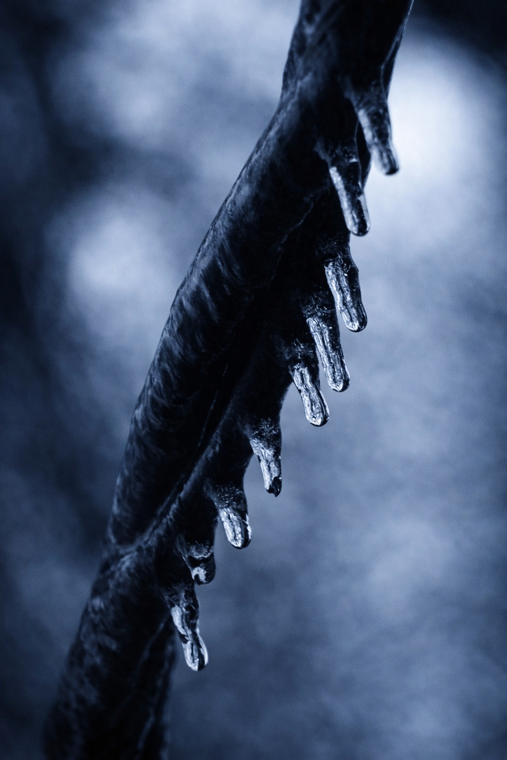 "Ice Holding On"
Droplets cling to the branch, suspended between solid and fall. The moment stretches at the edge of release.