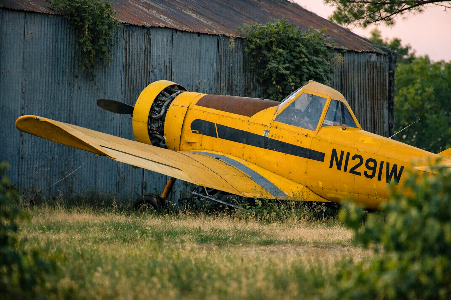 "Grounded Flight"
Wings rest in tall grass, but their purpose remains unchanged. Even earthbound, they belong to motion.