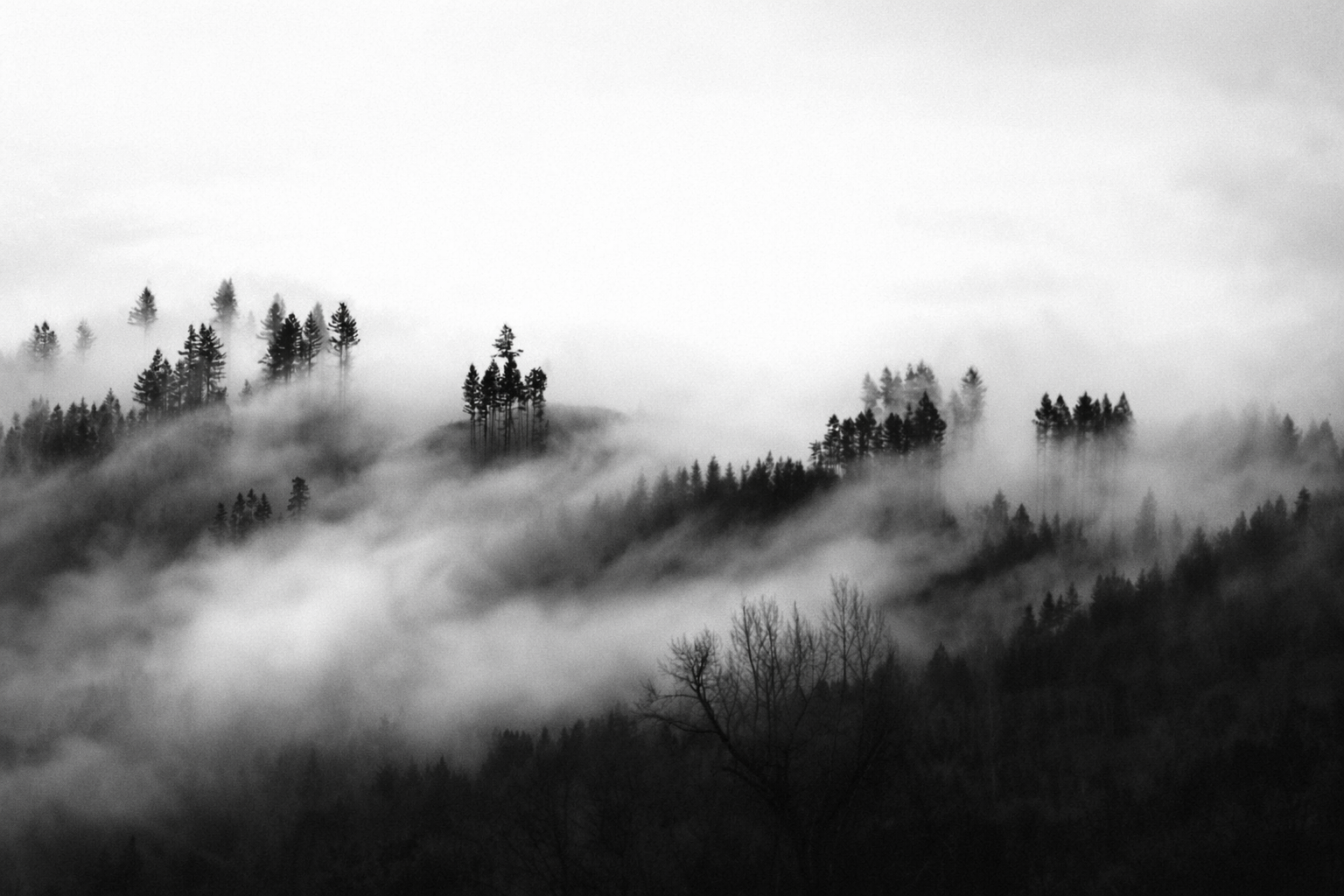 "Drifting Silence"
Fog moves through the hills like a memory unwilling to settle. What remains is not the land itself, but the feeling of it slipping away.