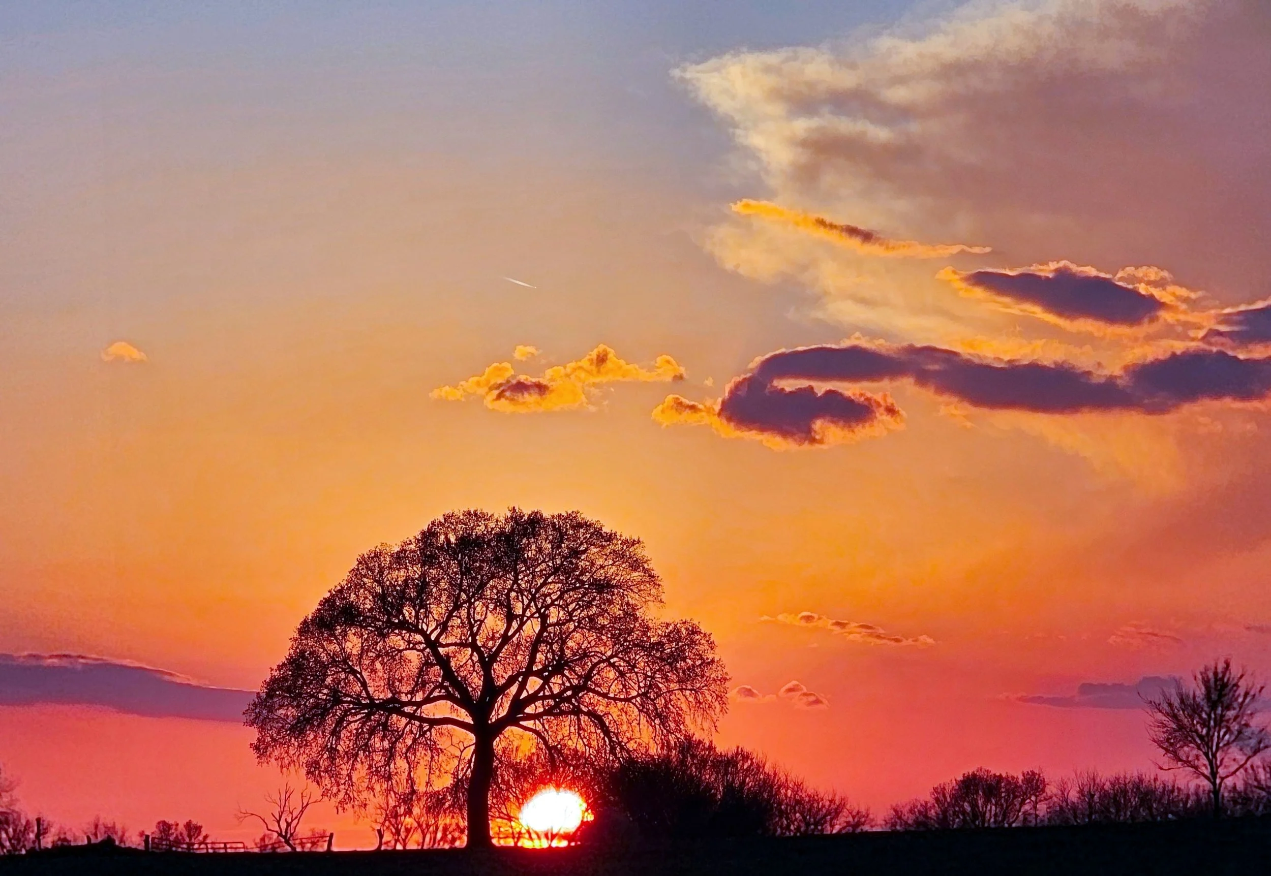 "Lowering"
The sun slips behind the horizon, taking the day with it. What’s left is only the memory of its warmth.