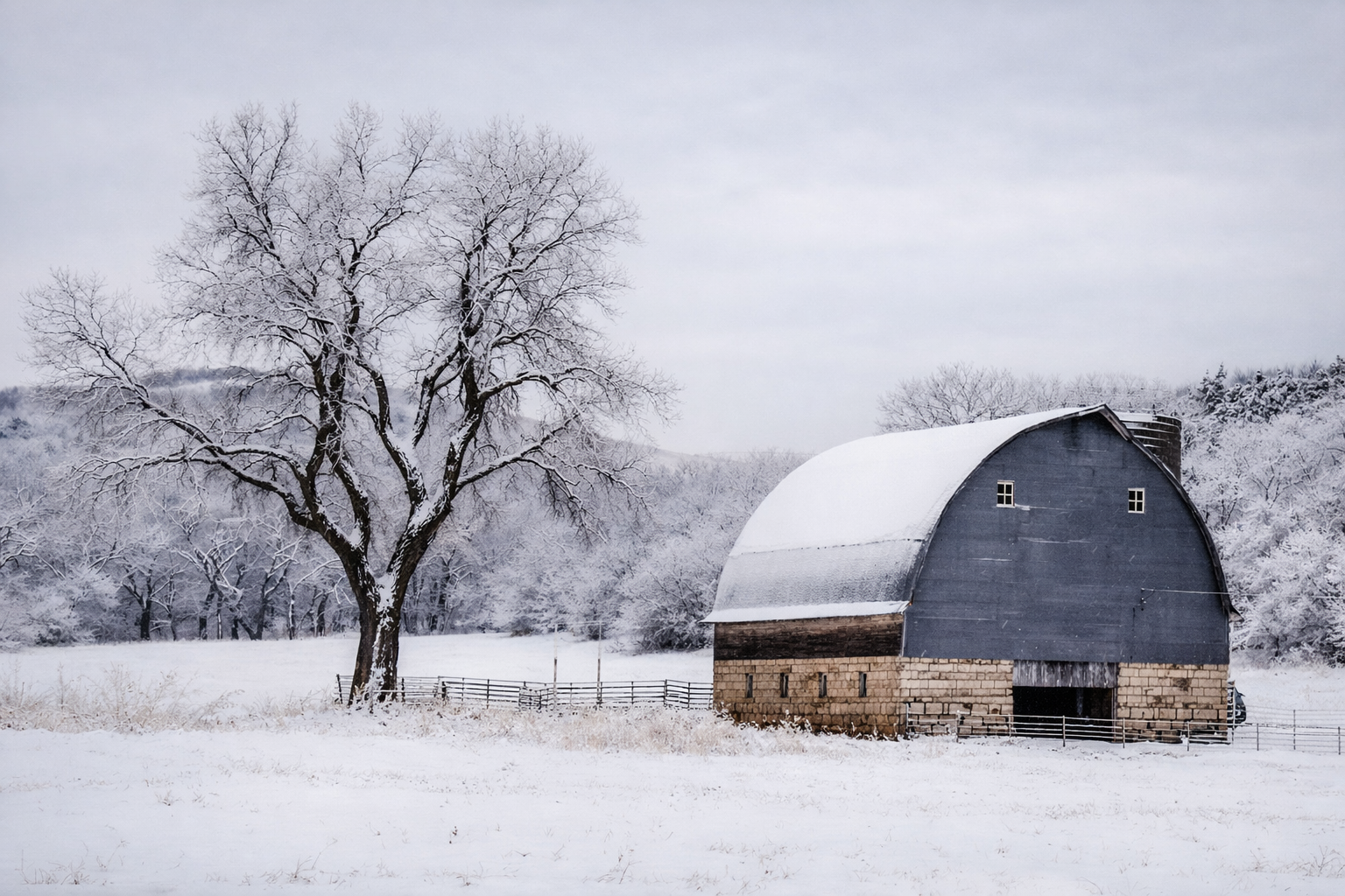 "Winter Keeps"
The barn and tree hold their place beneath snow, unchanged in purpose. Even in stillness, the land is shared.