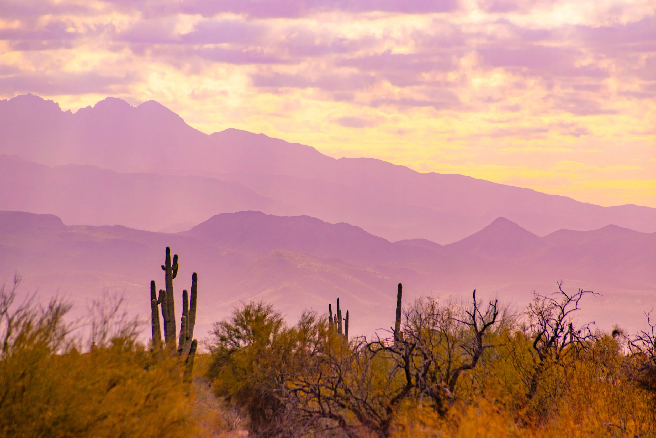 "Fading Upward"
The mountains dissolve into light as they rise, losing detail with distance. Elevation becomes something felt more than seen.