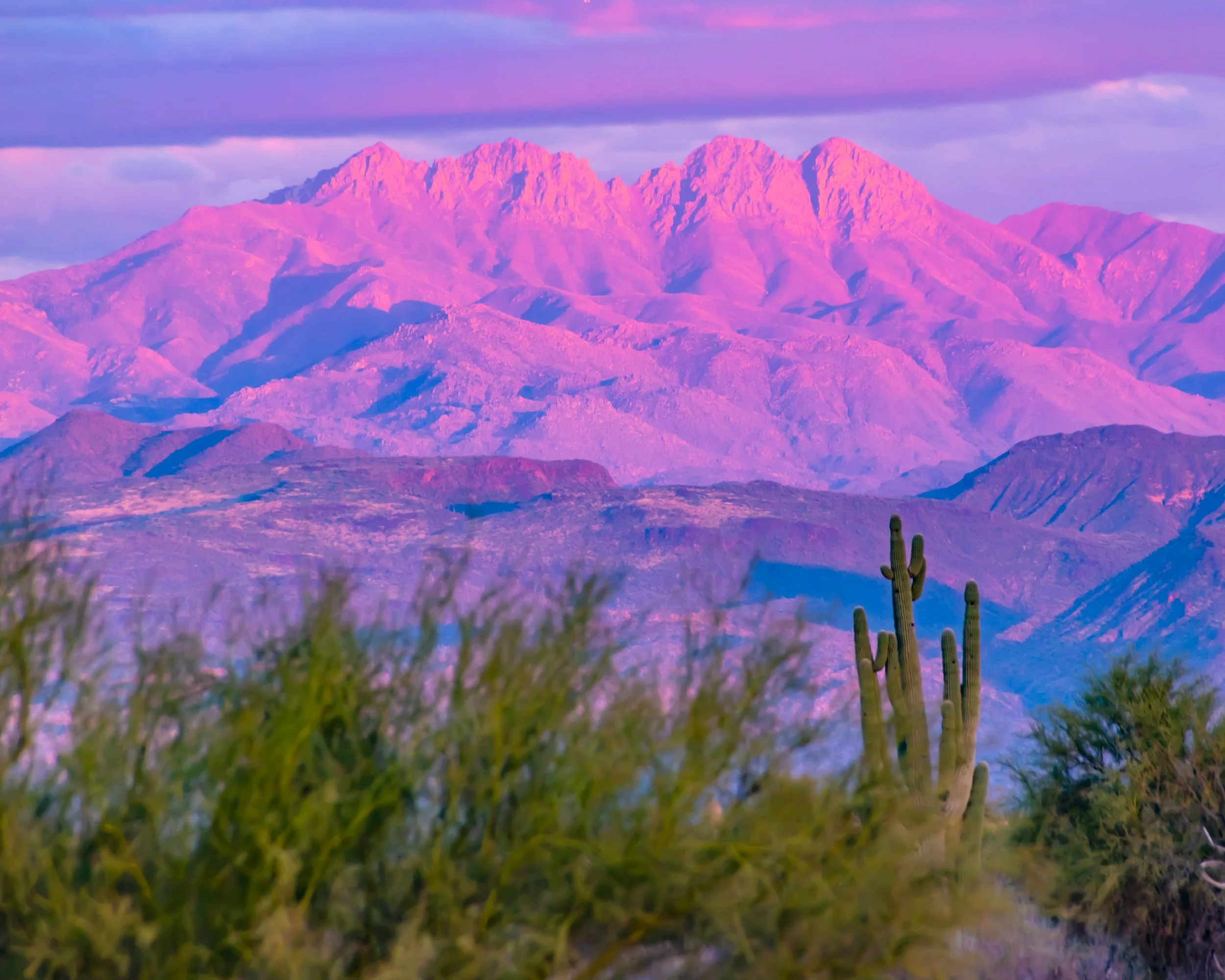"Lifted in Color"
The peaks glow as they rise, separated by tone and distance. Elevation becomes its own language.