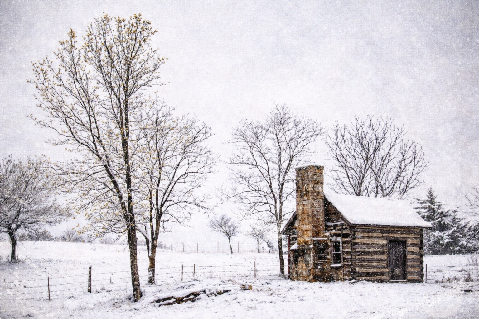 "Buried Season"
Snow covers what once stood clear, softening edges and meaning. The past remains—but only beneath.