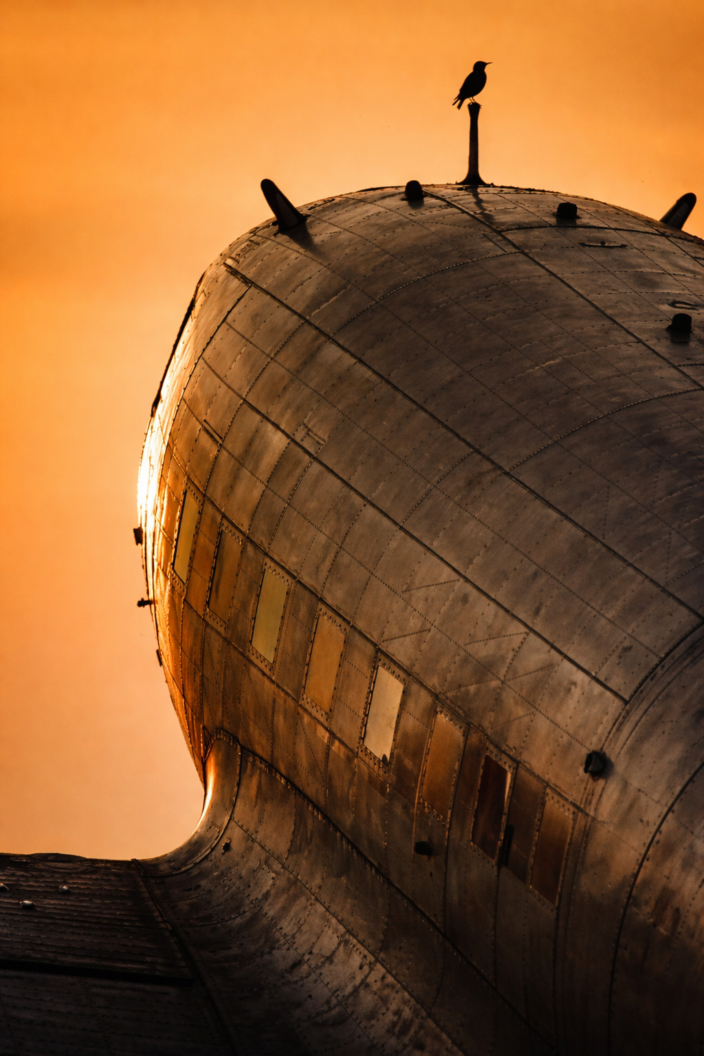 "Upward Pull"
The curve rises into open sky, drawing the eye along its path. Movement doesn’t need speed—only intention.