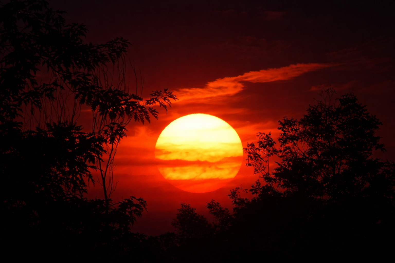 "Final Hold"
The sun rests in place, full and unwavering for one last moment. What’s leaving doesn’t rush.