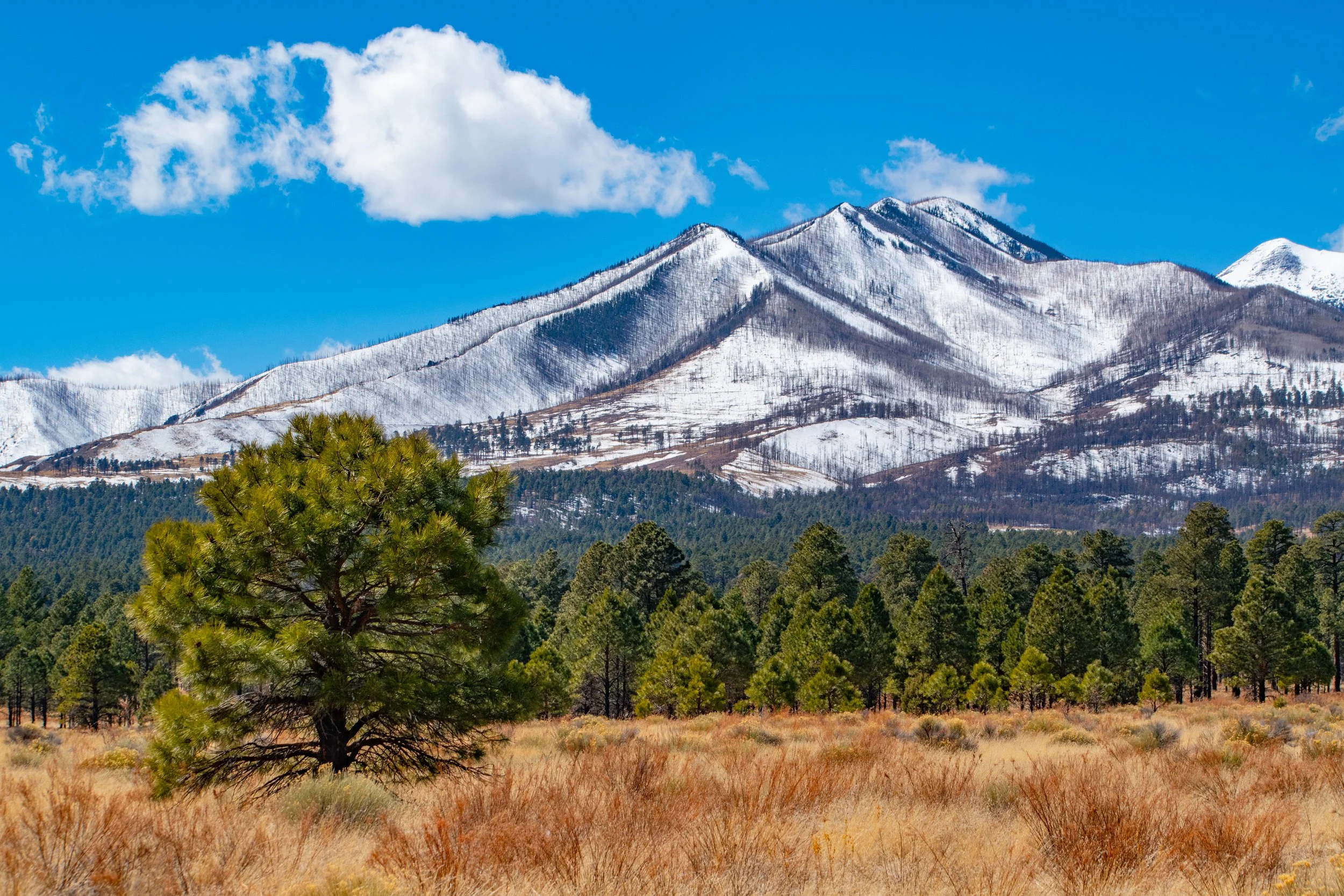 "Lifted Horizon"
The peaks hold the sky in place, rising beyond the land that surrounds them. Elevation isn’t just height—it’s separation from everything beneath.