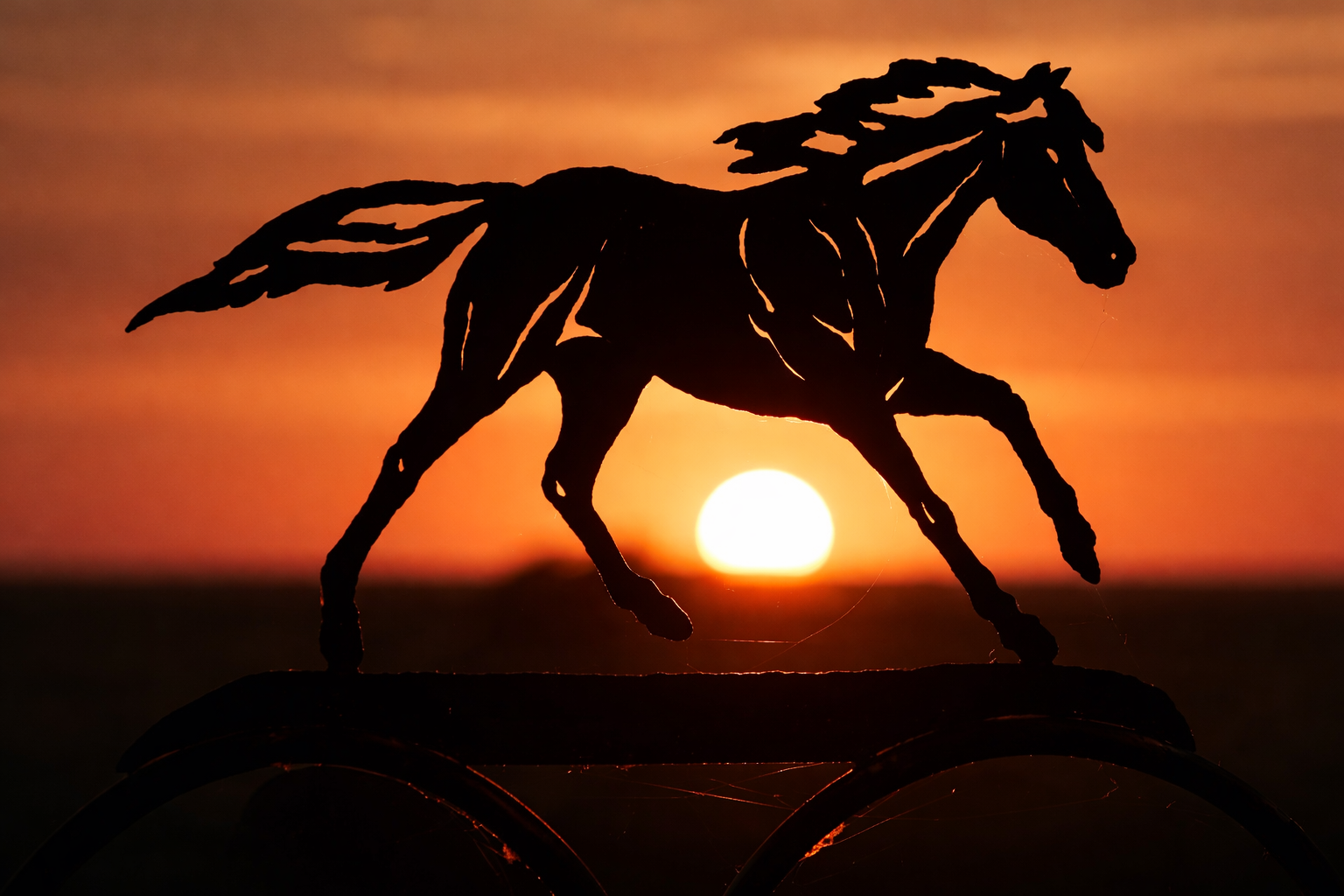 "Running Out"
The form moves against the setting sun, held only in outline. What remains is motion, not detail.