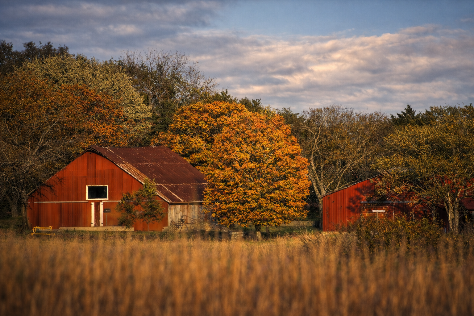 "Season Held"
The barns sit within the turning of color and light, unchanged as everything around them shifts. The land moves—this remains.