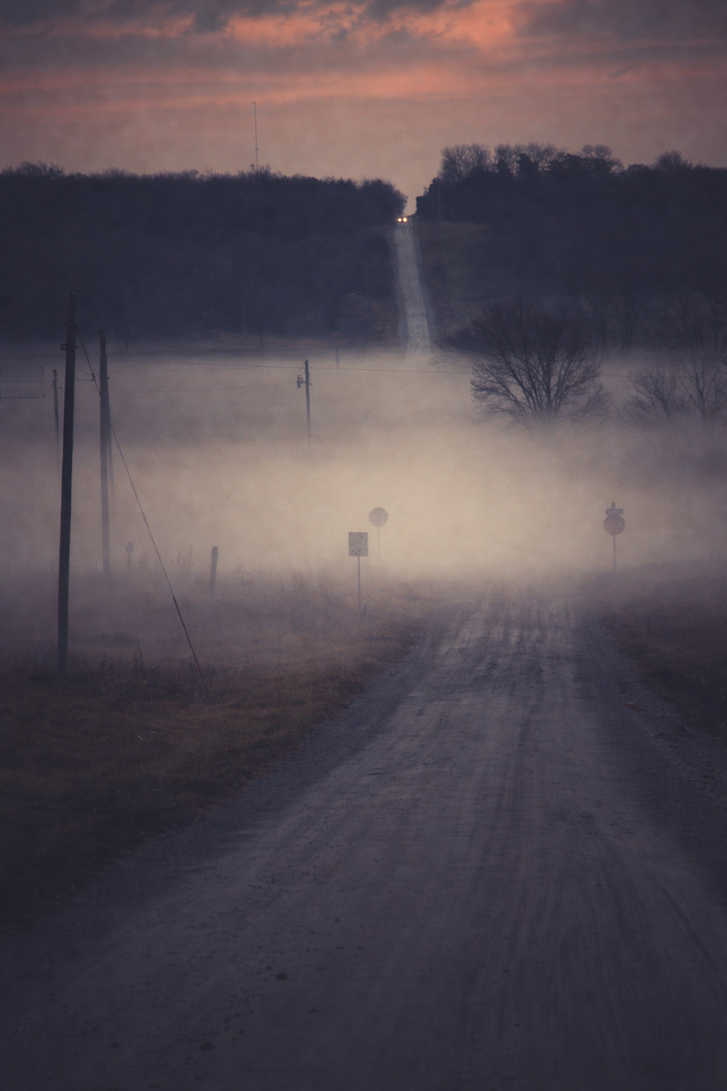 "Between Signals"
A road disappears into grain and distance, where meaning fades into atmosphere. Direction exists—but no longer matters.