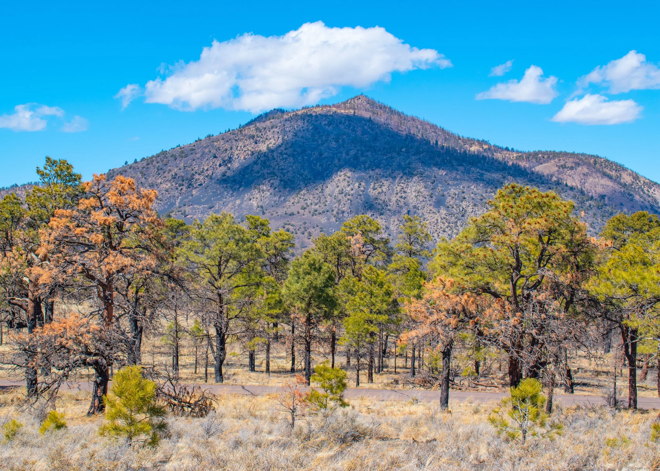 "Ground to Peak"
The land builds upward from tree line to summit, each layer distinct. Elevation is constructed, not sudden.