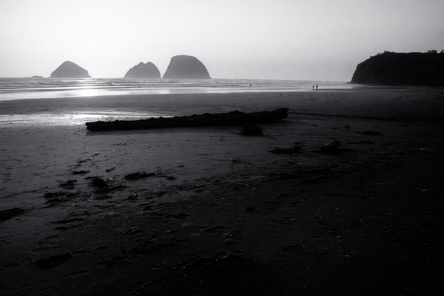 "Edge of the Tide"
Land and sea meet without drama, softened into grayscale memory. The horizon feels less like a line and more like a release.