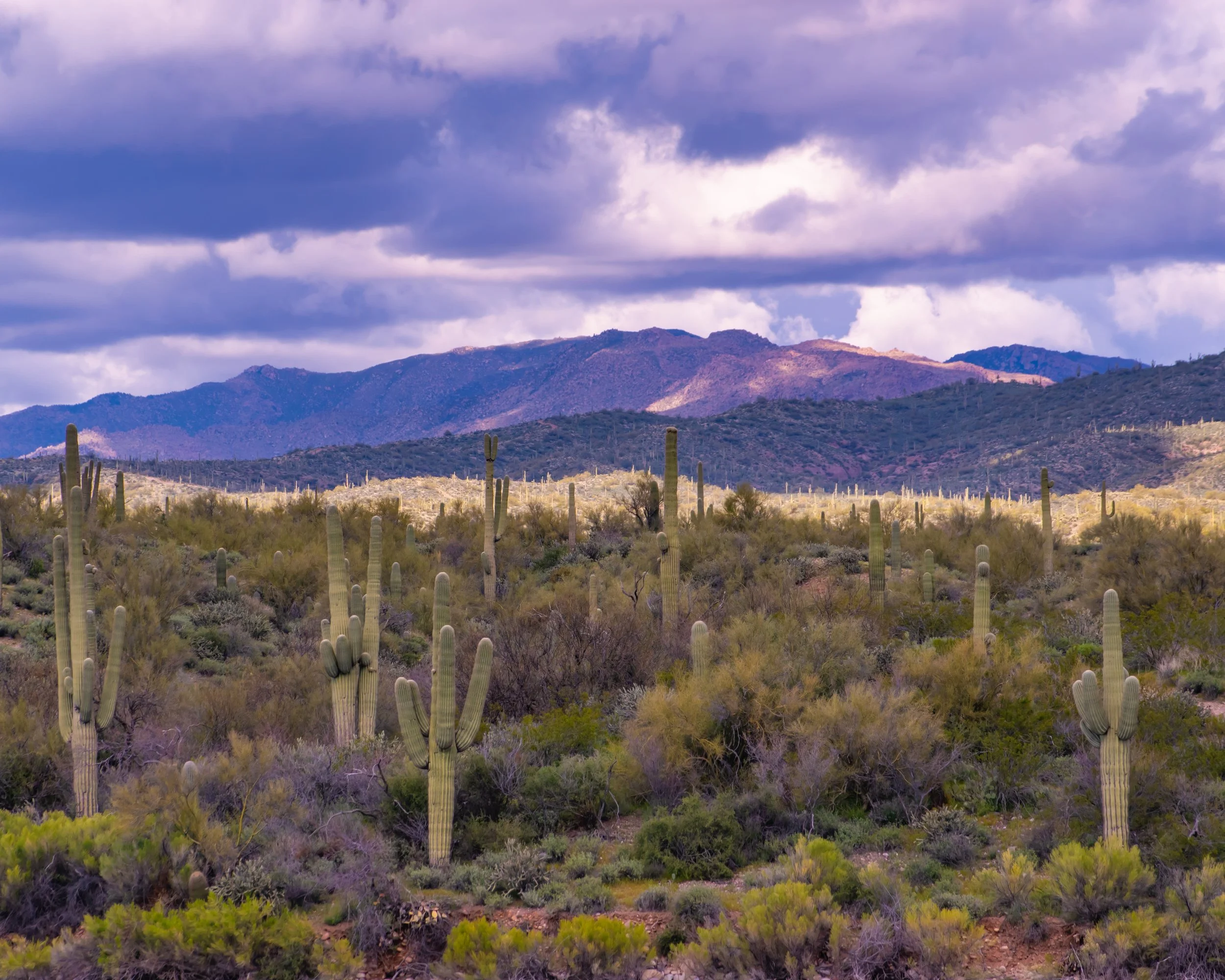 "Spread of Height"
The desert stretches outward while the mountains rise beyond it. Elevation doesn’t replace the ground—it expands from it.