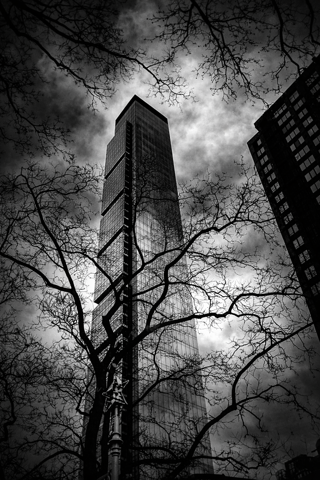 "Through the Frame"
The tower rises beyond the branches, held within what grows around it. What we build stands apart—but never outside.