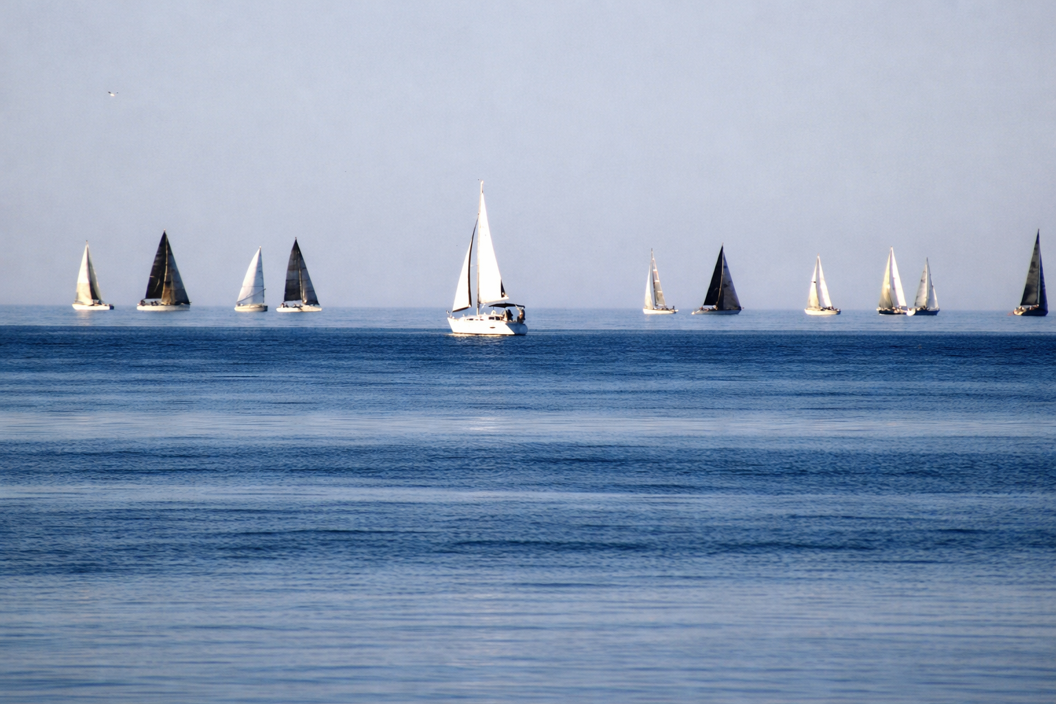 "Lines Across Blue"
Sails drift across open water, guided but unhurried. Direction exists, yet nothing feels compelled to arrive.