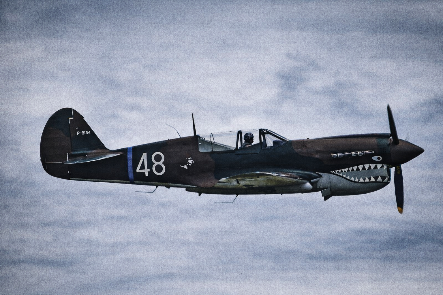 "In Flight"
The aircraft cuts through space, committed to its course. There is no pause here—only continuation.