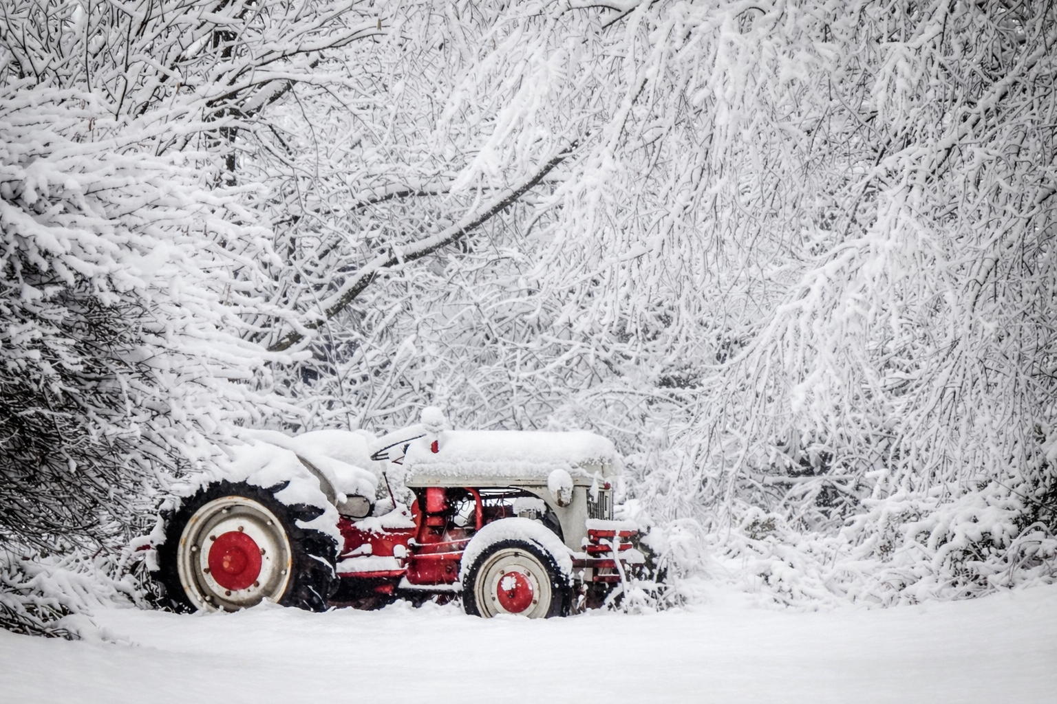 "Remembered in Contrast"
Set against the white, it stands out not for what it does—but for what it did. The past is sharper than the present.