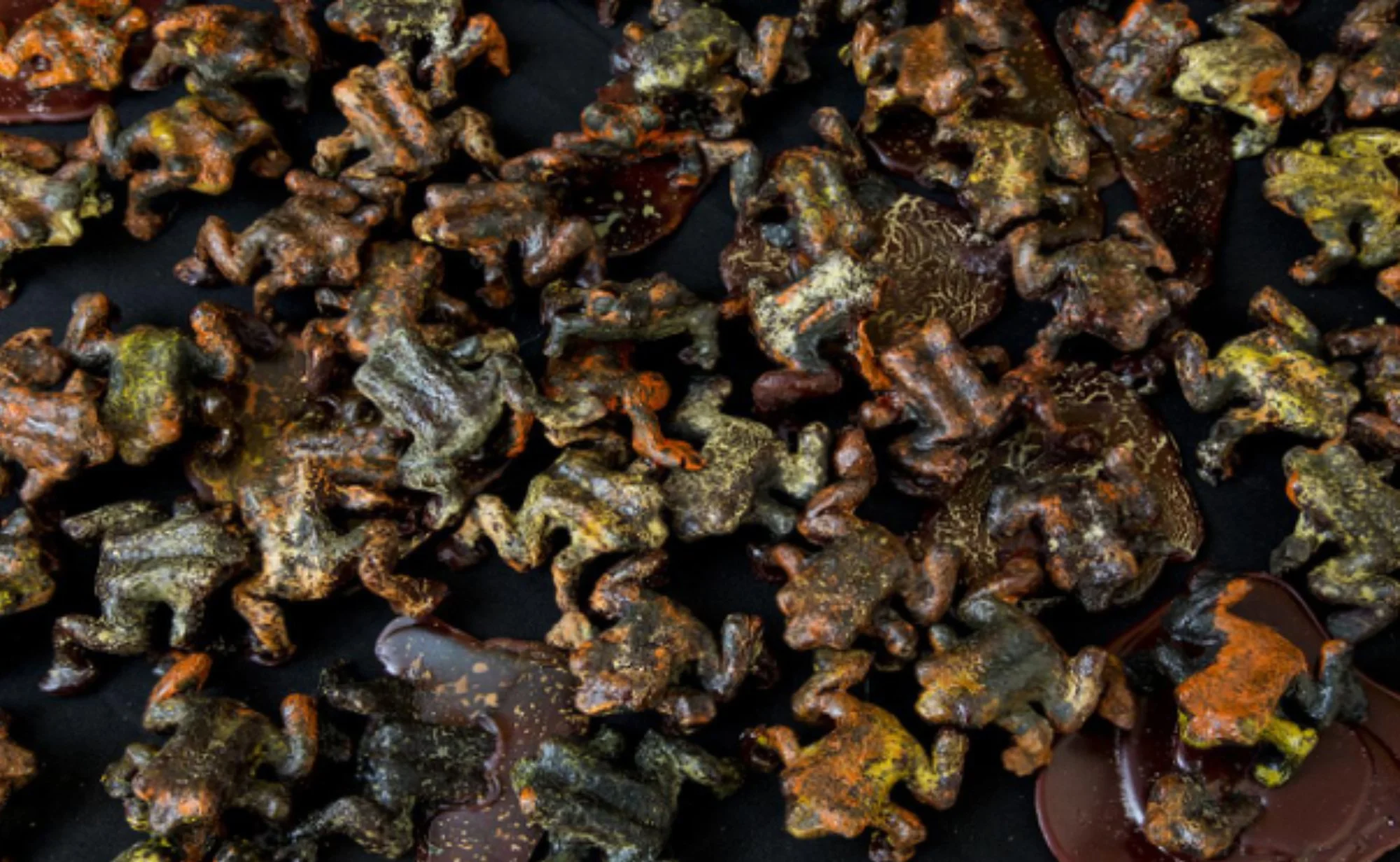 Eden Hall, Portfolio 4.jpg