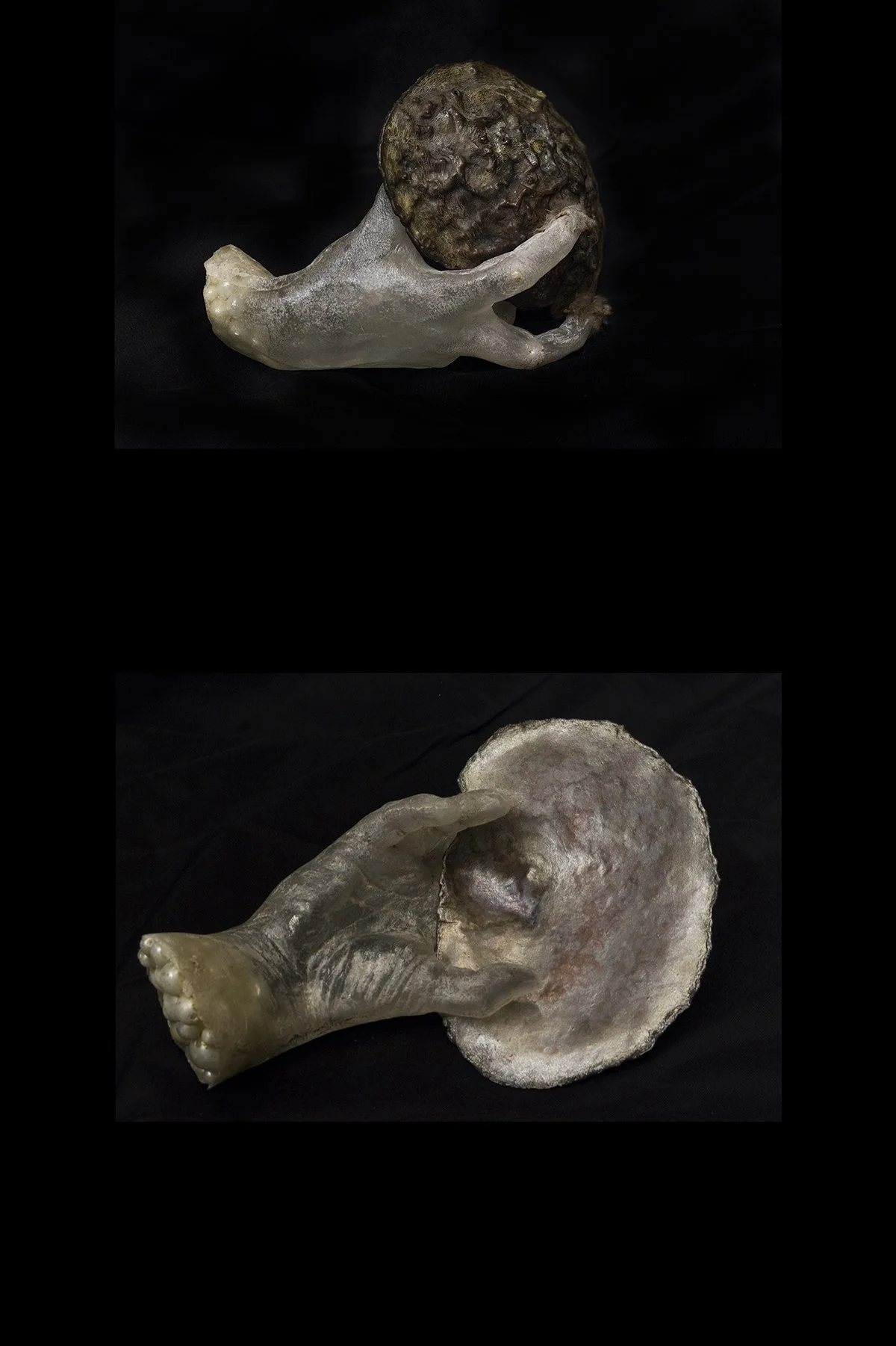 Eden Hall image 2.jpg