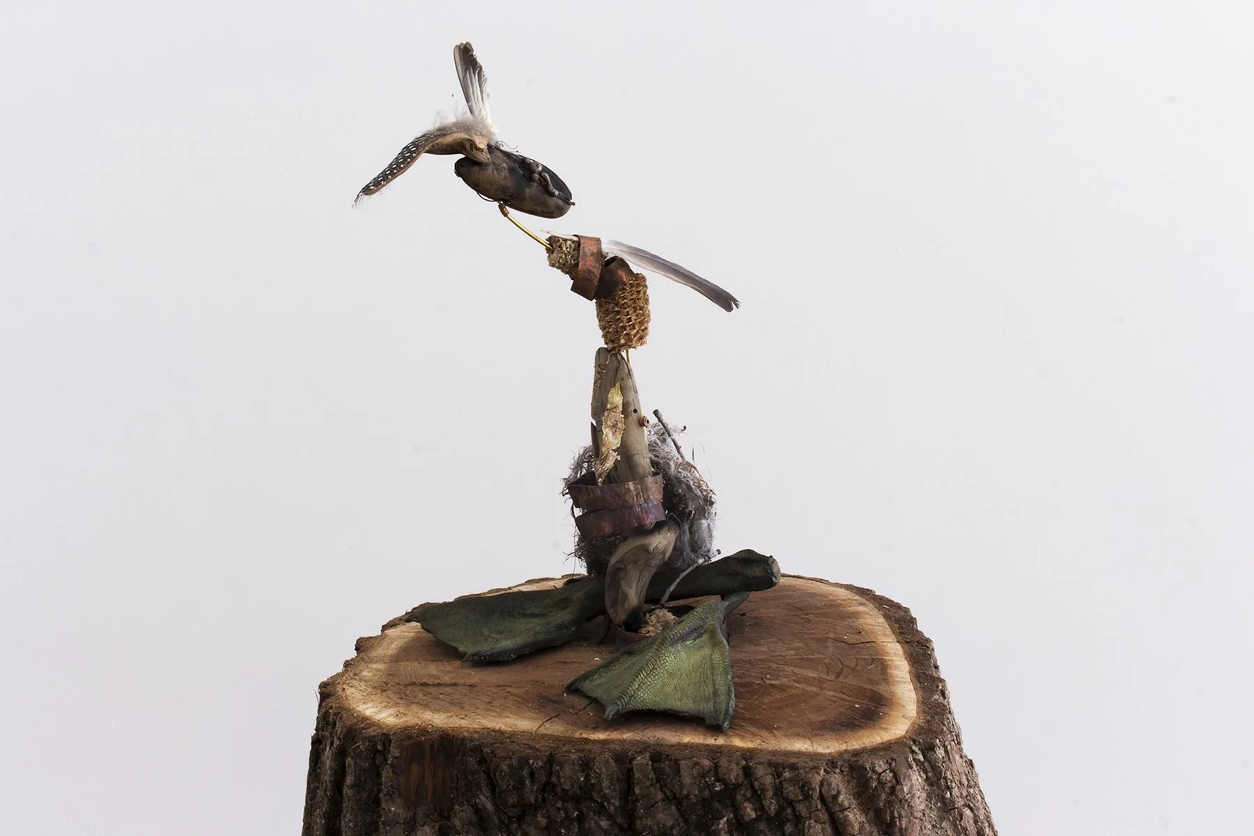 Eden Hall image 3.jpg