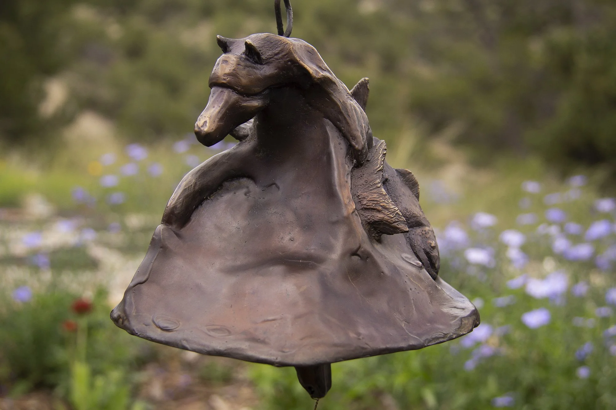 horses of san isabel 3.jpeg