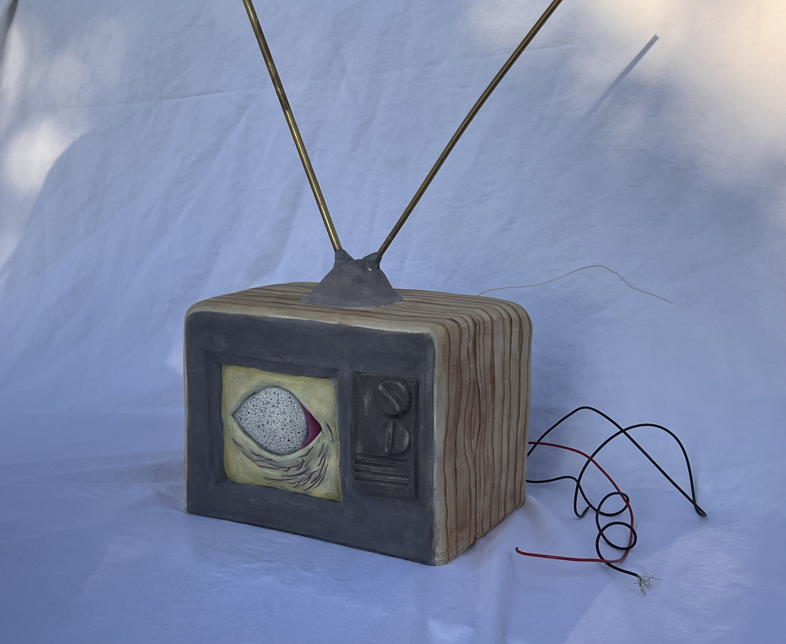 "Through the Screen", 2022, Ceramic, Wires, Found objects.