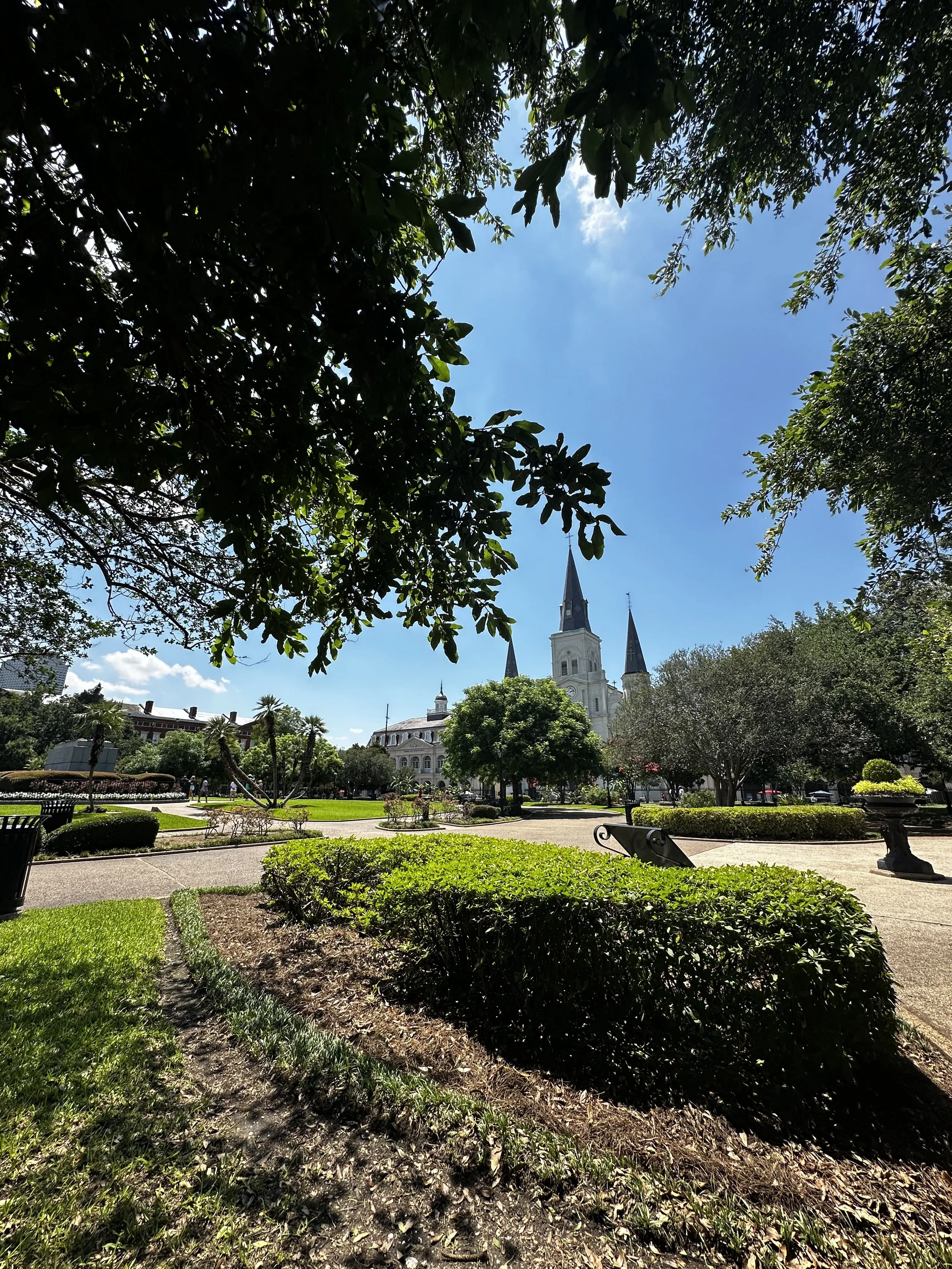 A Slow, Stylish Escape to New Orleans
