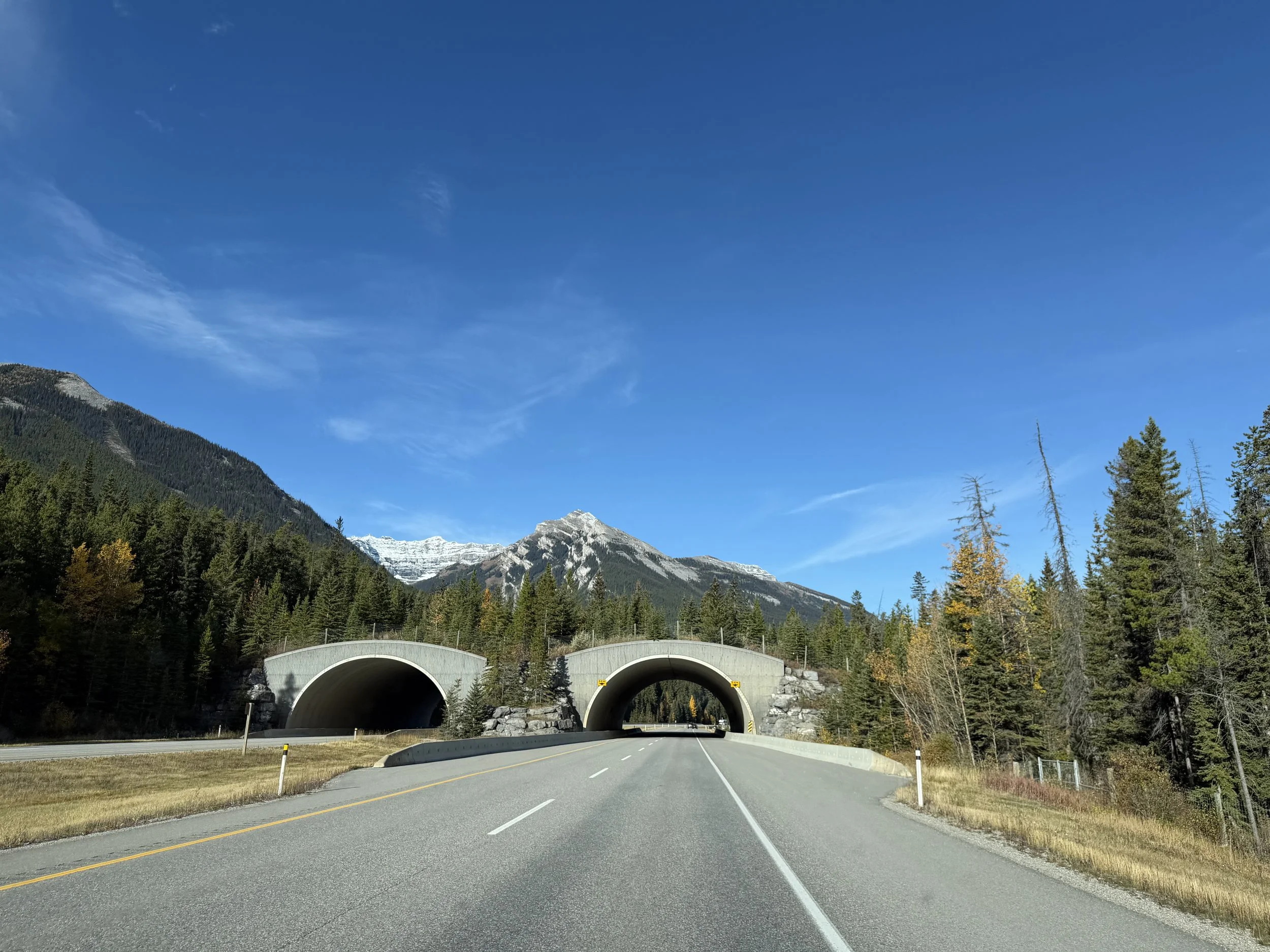 Arriving in Banff: Our First Glimpse of the Canadian Rockies