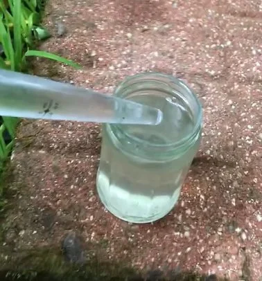 A glass jar with a metal lid contains water, with a clear straw inserted into the jar, resting on a dirt surface outdoors.