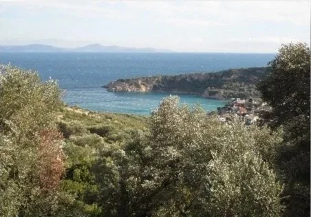 Coastal view of the ocean with a small beach and hillside greenery in the foreground.