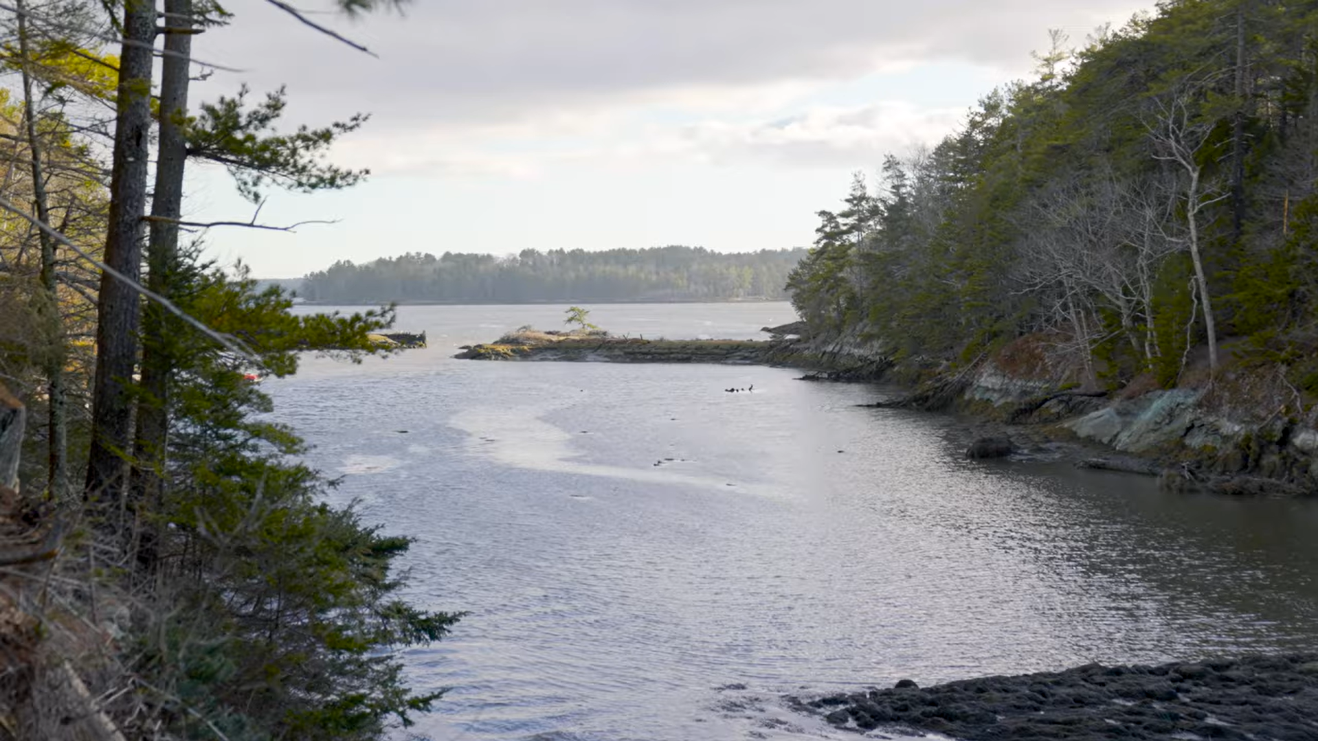 A peaceful waterway surrounded by trees on both sides, with a small rocky island and a dock in the distance, under partly cloudy skies.