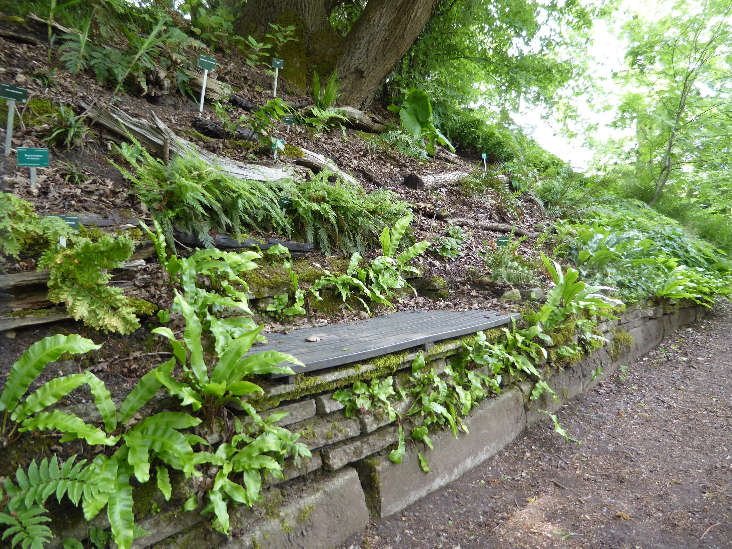 bench hill.jpg