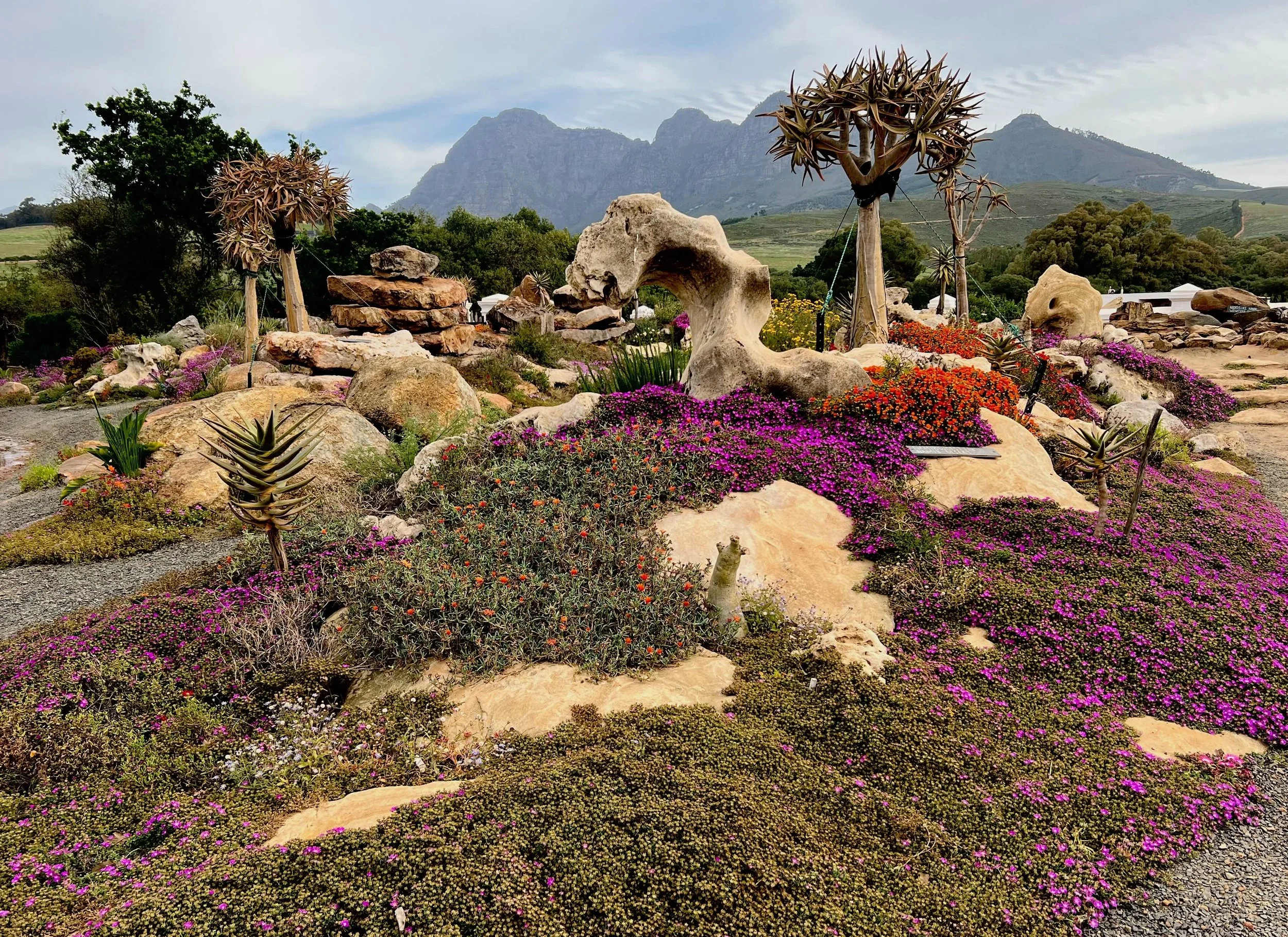 Rock Gardens galore
