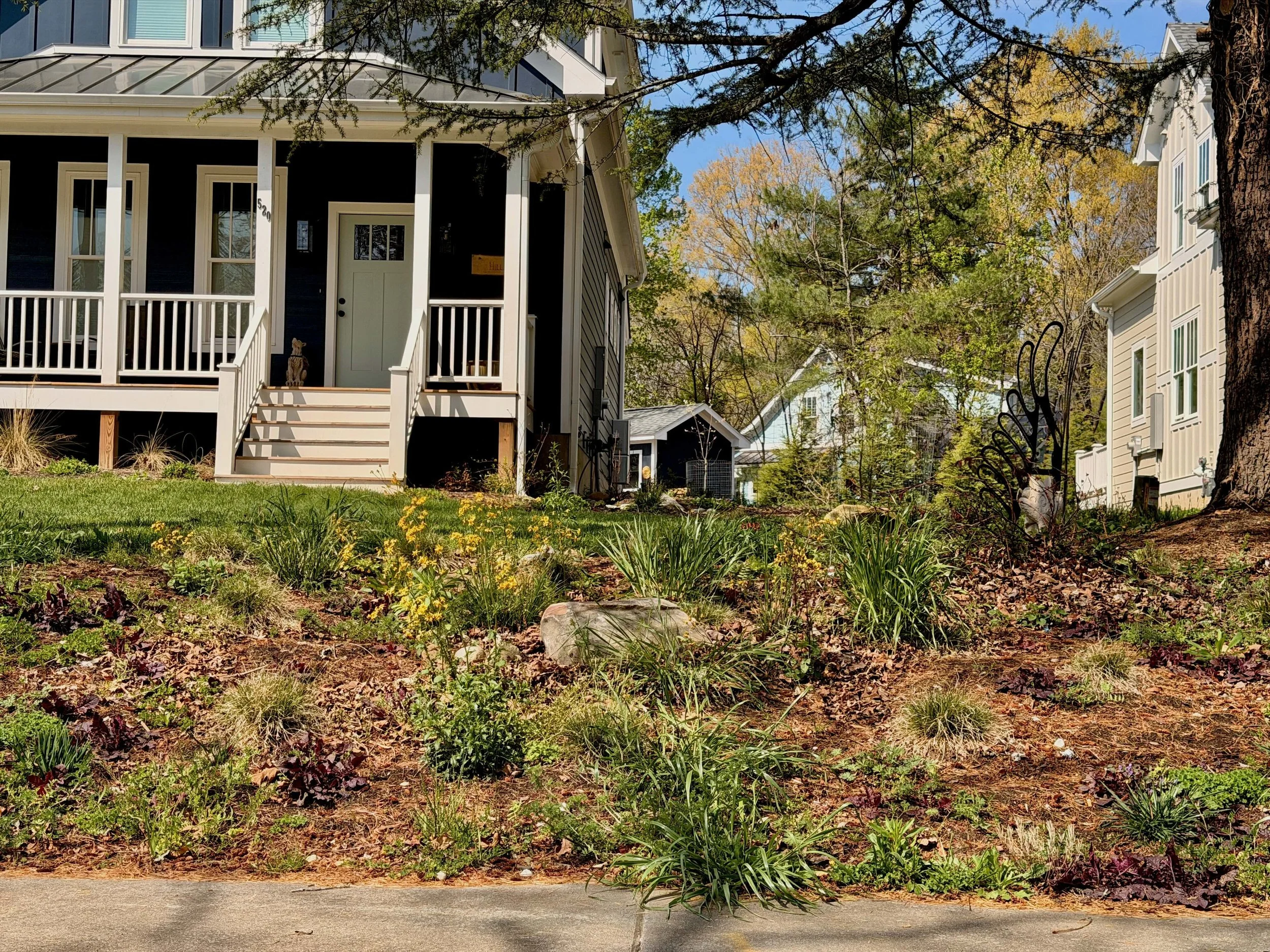 Front slope planting waking up