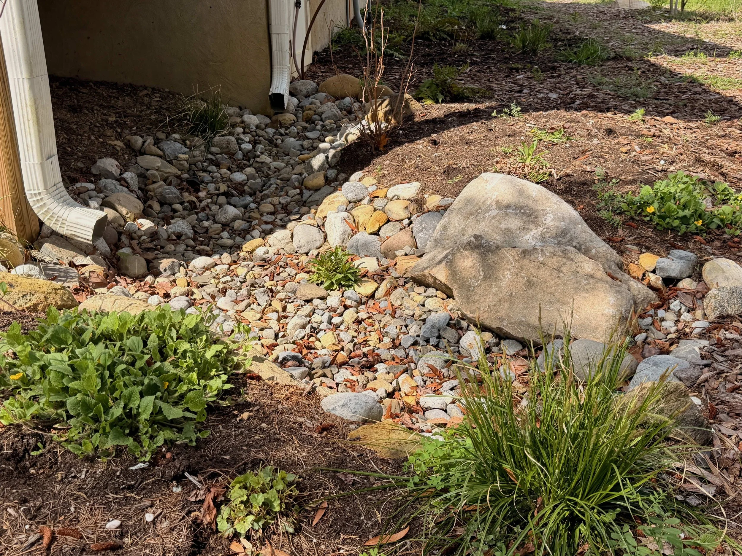 Downspout garden