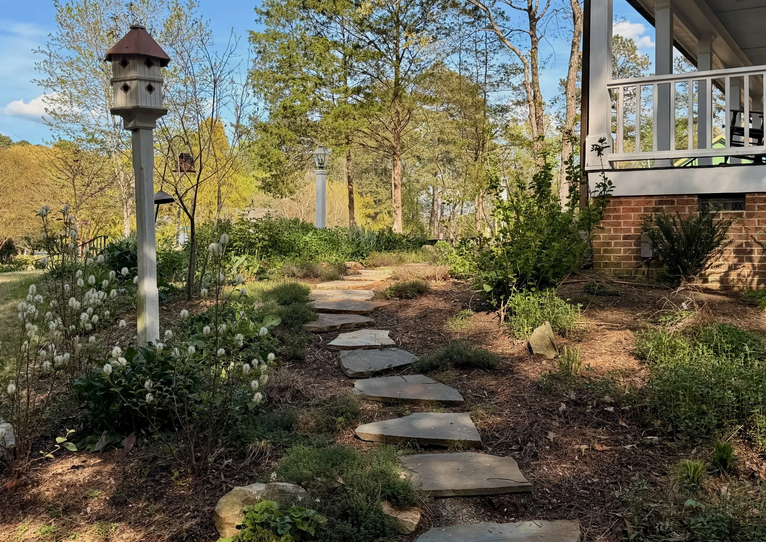 Cottage garden 