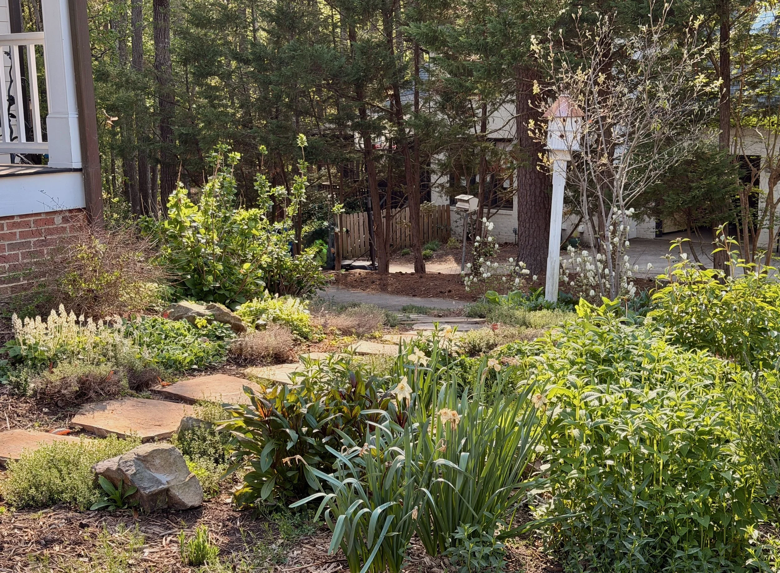 cottage garden