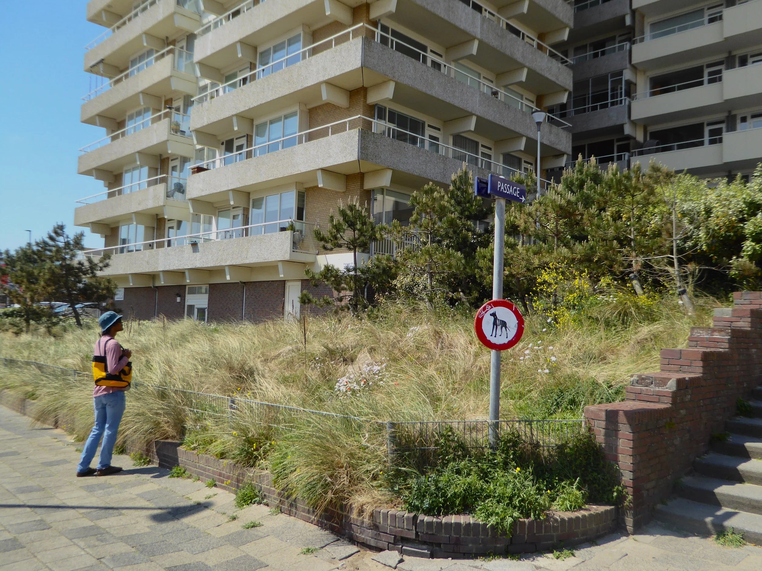 Friend standing on a pavement near a Zaandvort garden, multi-story residential buildings in the background, and a street sign that reads 'Passage'.