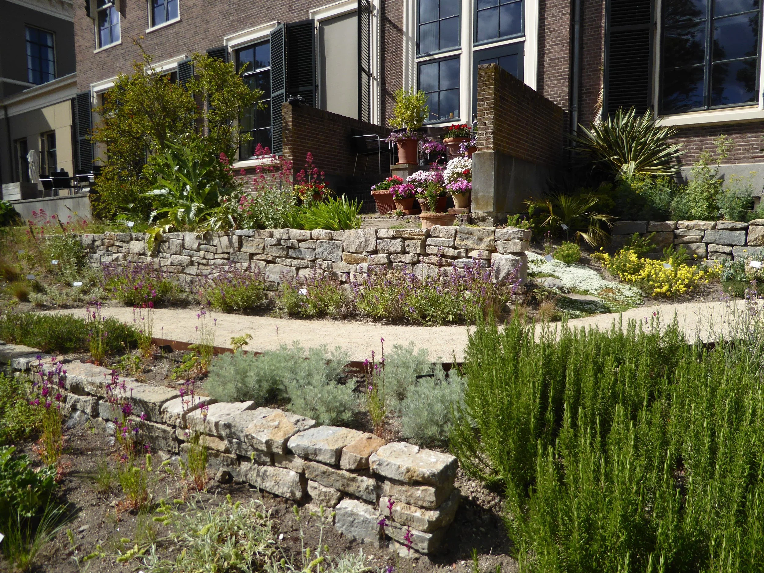A tiered garden with flowering plants and shrubs, stone retaining walls, and potted plants on the steps in front of a brick building with large windows and shutters.