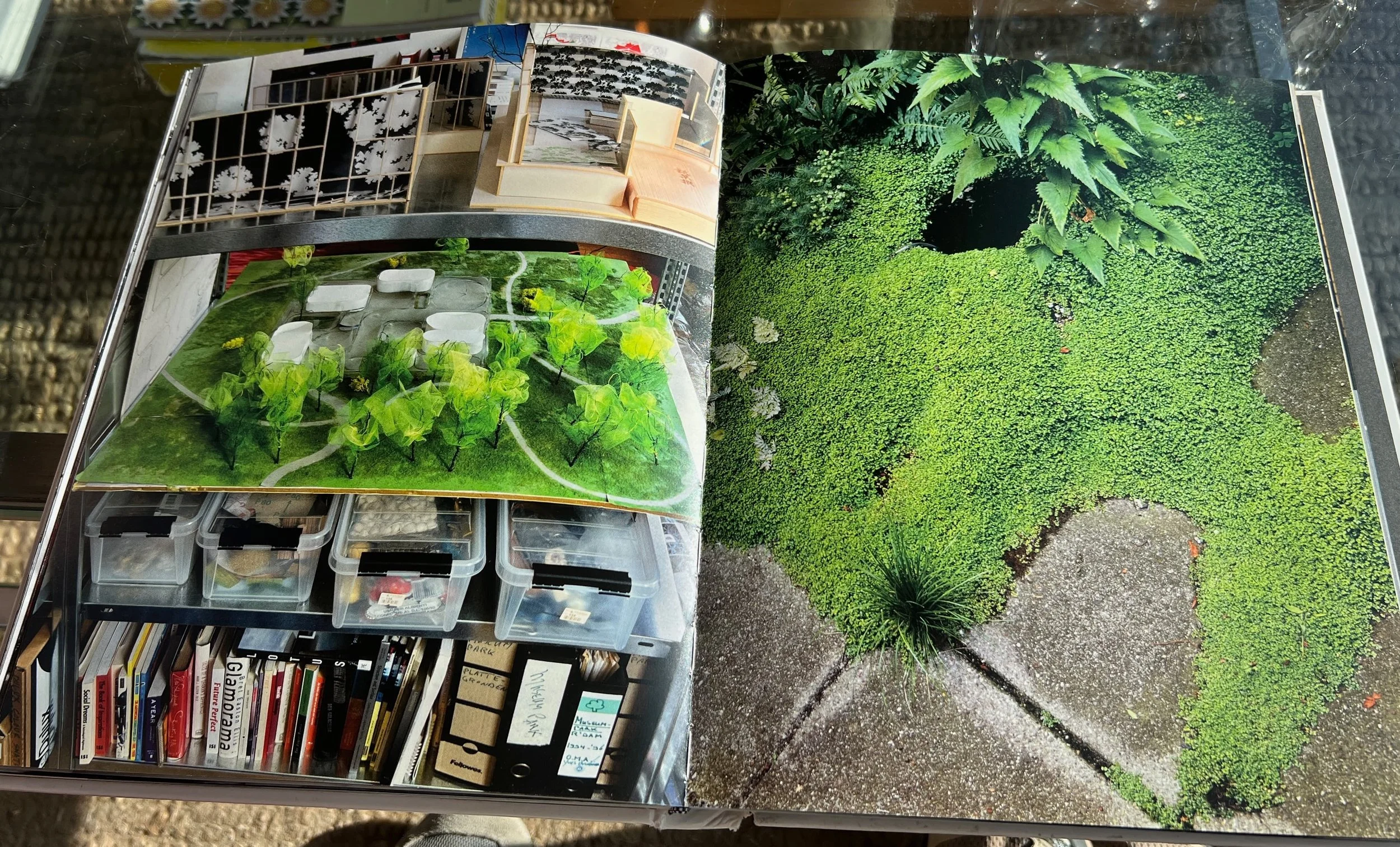Open magazine showing interior design and garden photos, with a shelf of books and storage boxes nearby.
