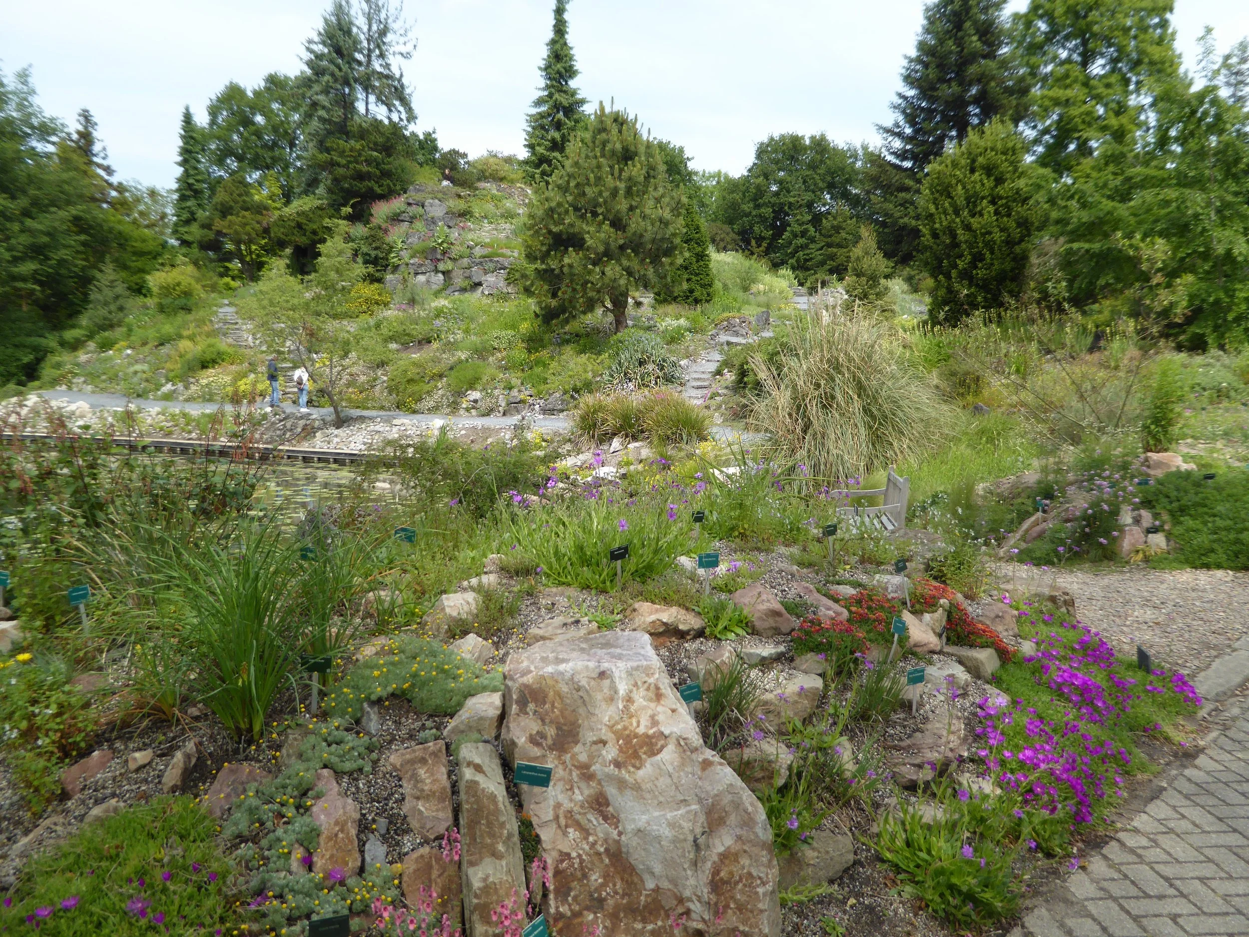 Utrecht botanical garden with various flowers, plants, and rocks along a paved pathway, with trees and greenery in the background.